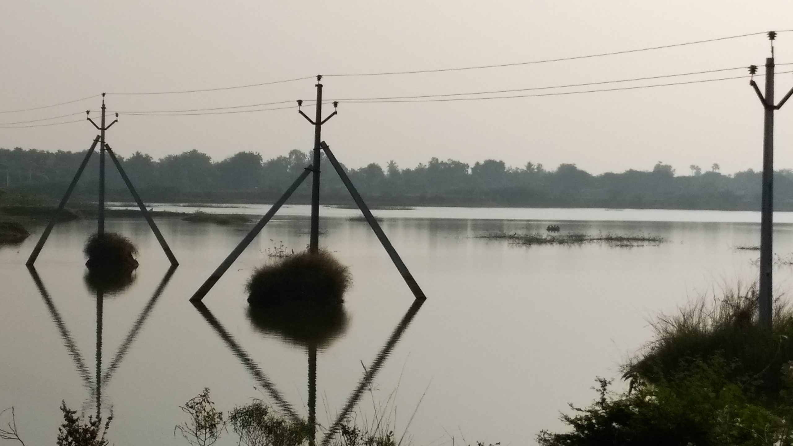 Electric poles in a lake
