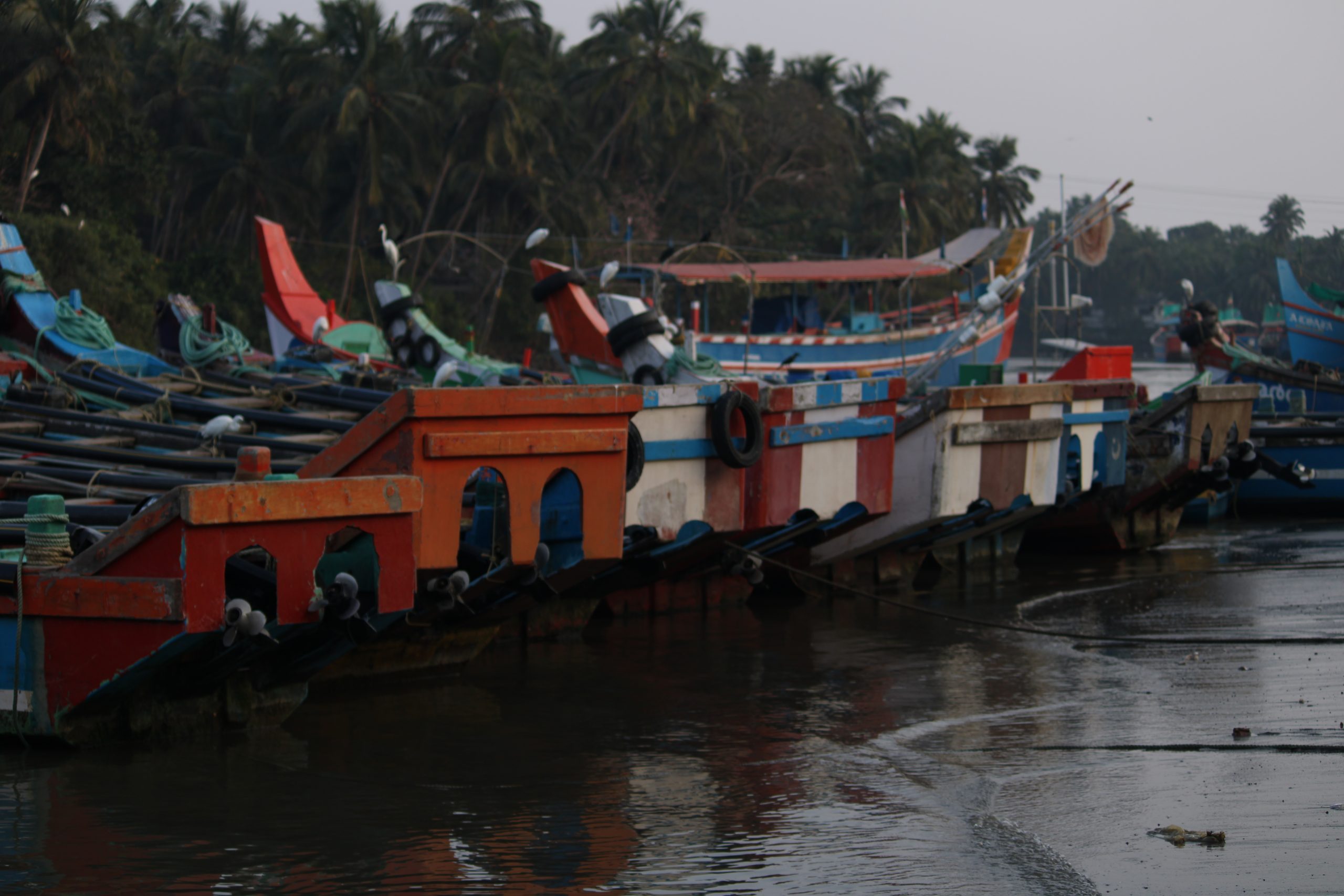 Fishing boats parked at seaside.