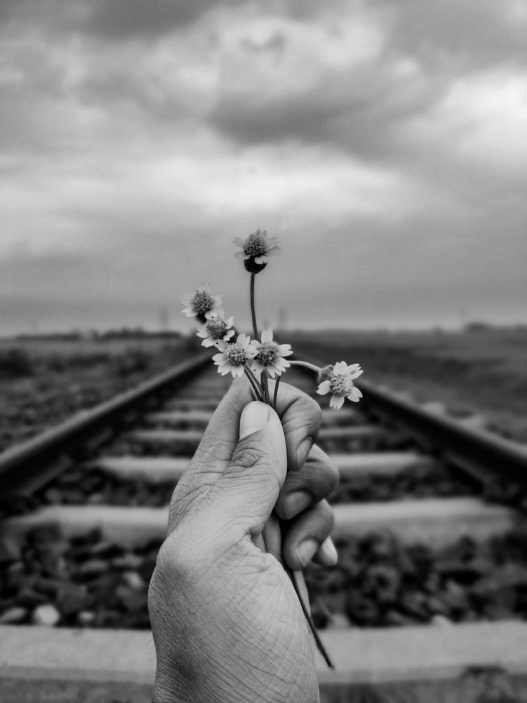 Flower in Hand PixaHive