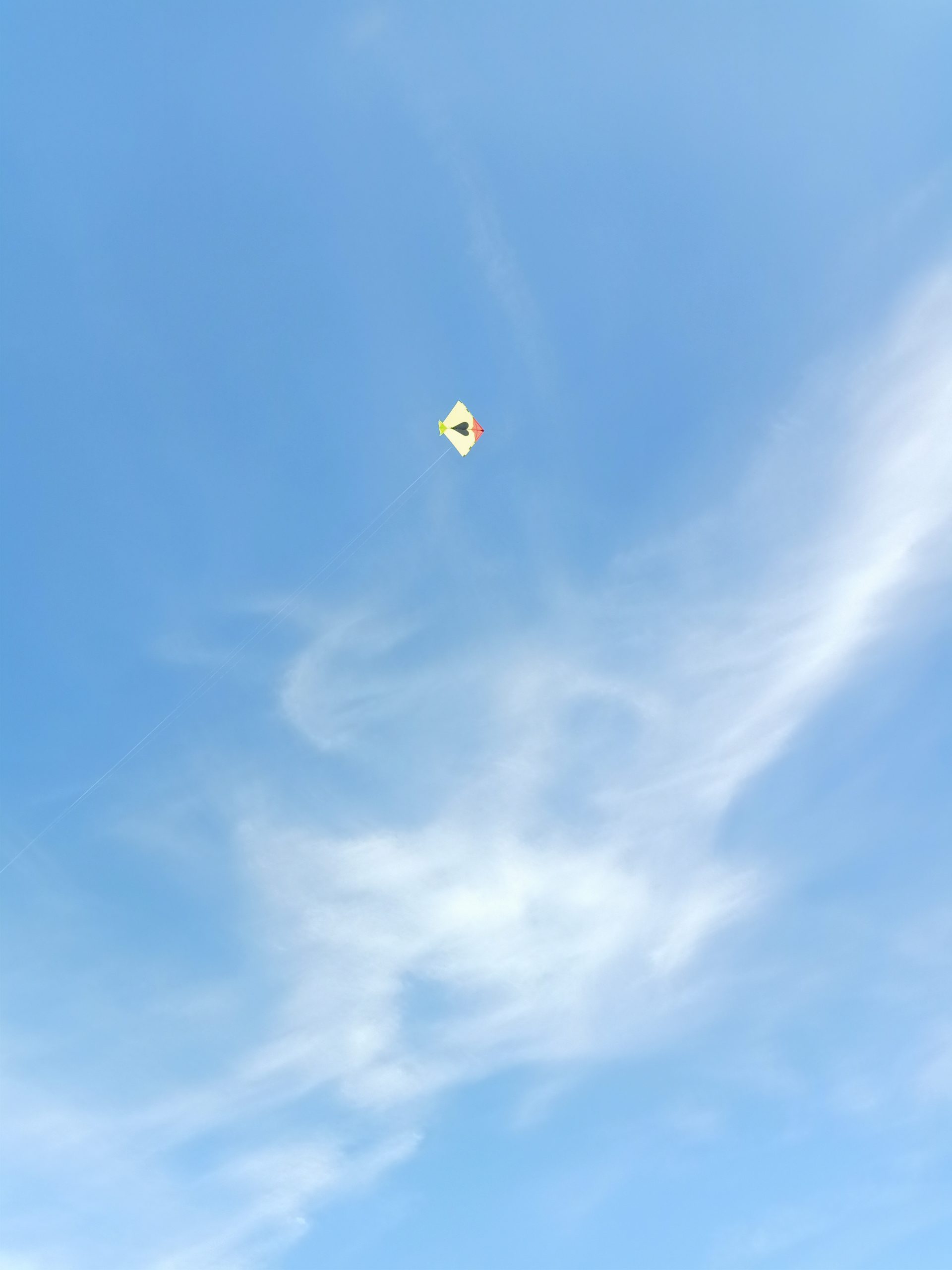 Kite flying in the clear sky