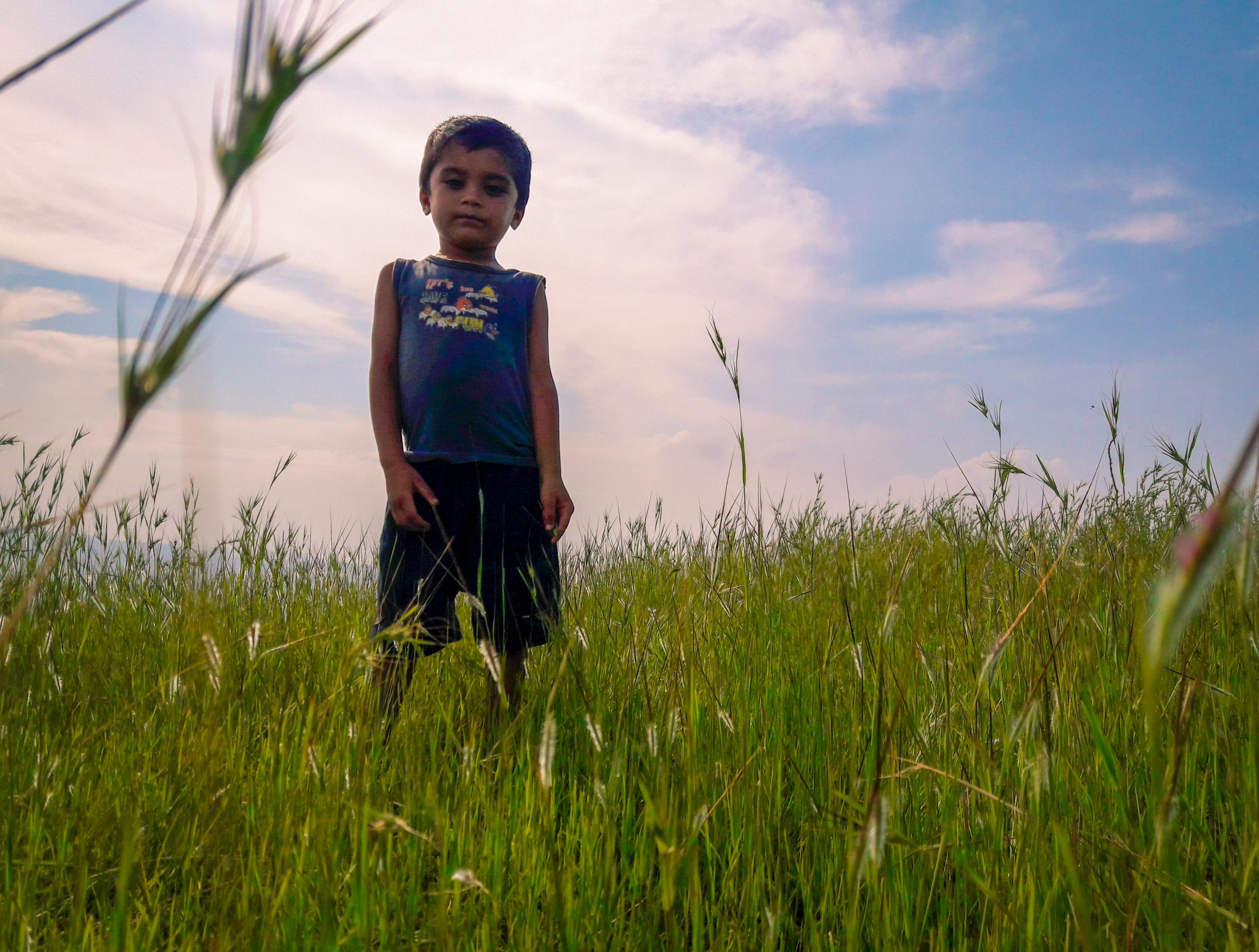 Kid standing in farm