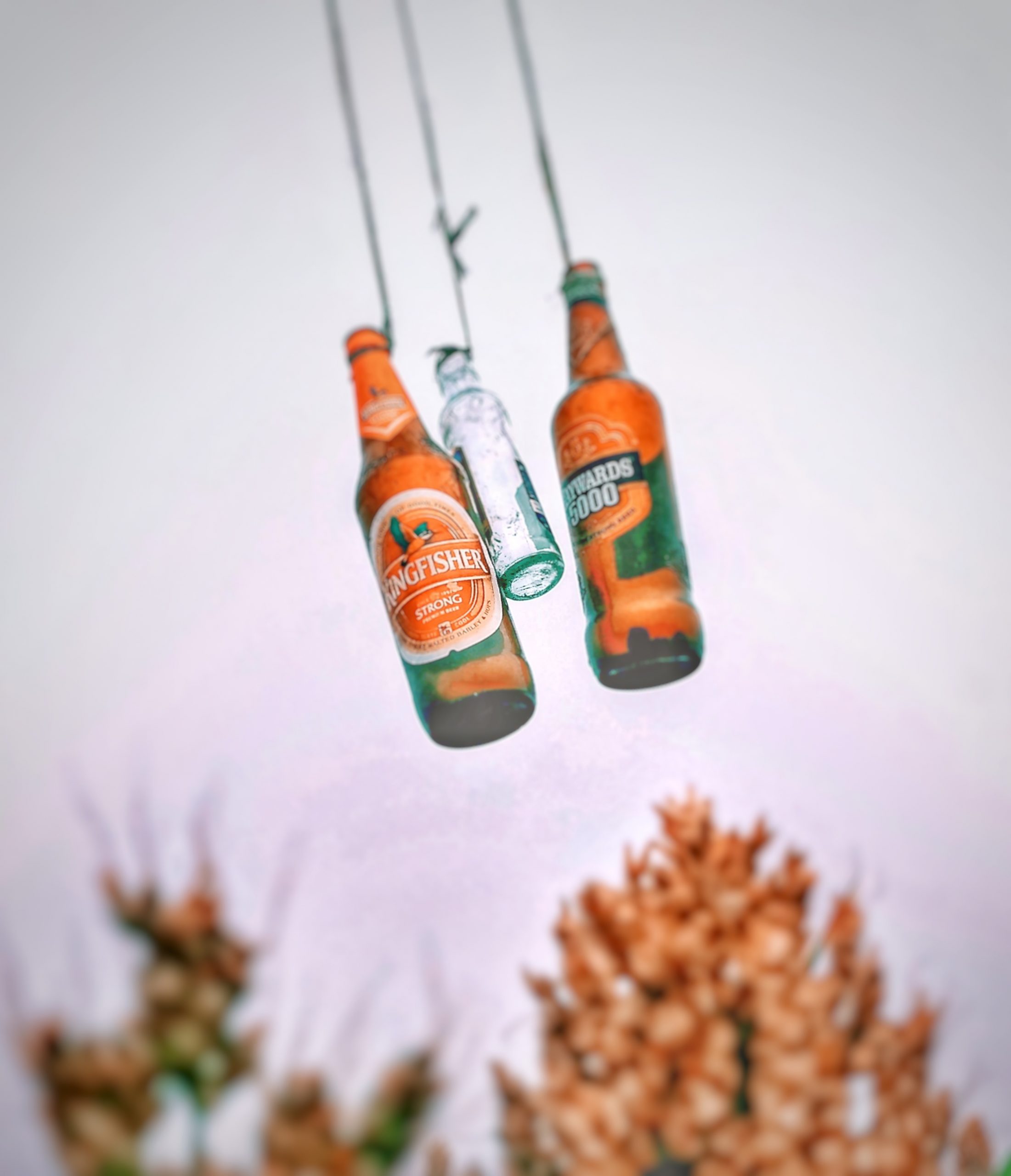 Beer bottles hanging with ropes
