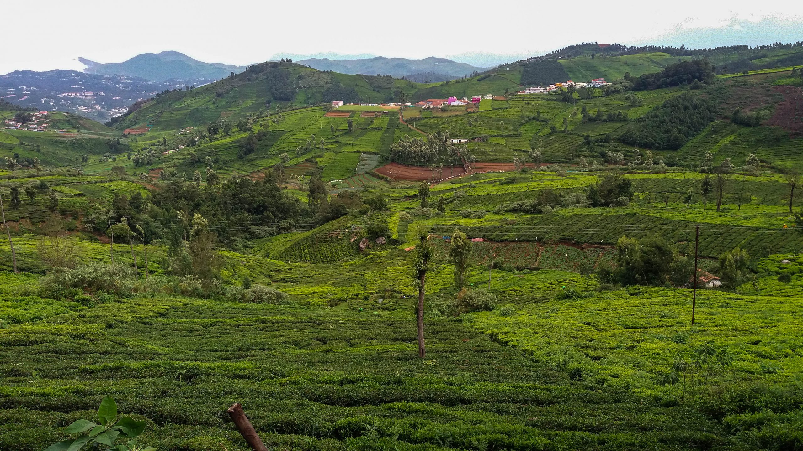 Kothagiri valley