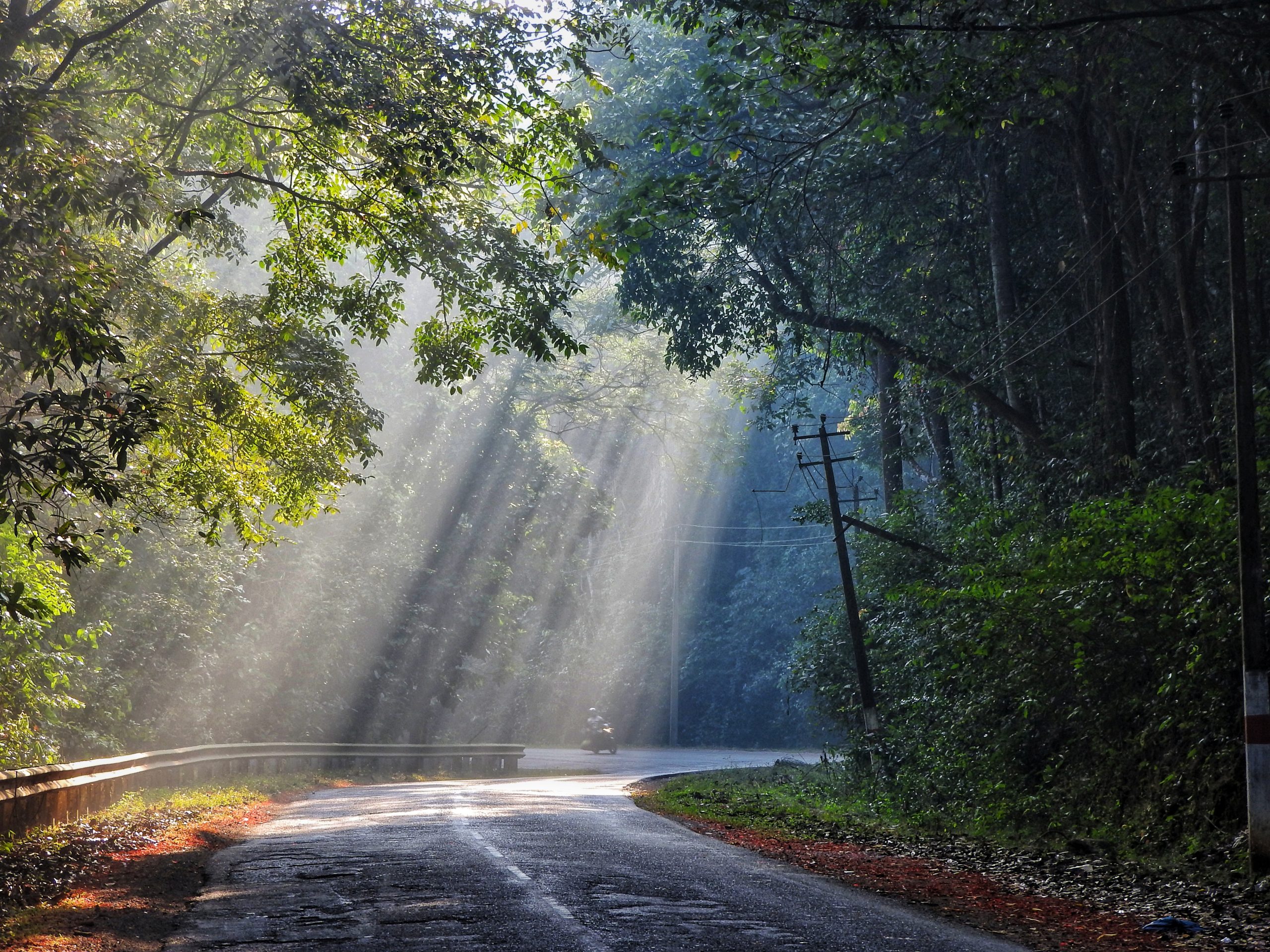 sun rays on a road