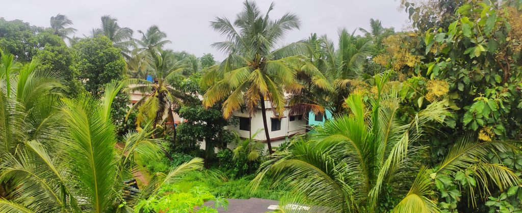 Trees Around A House Pixahive