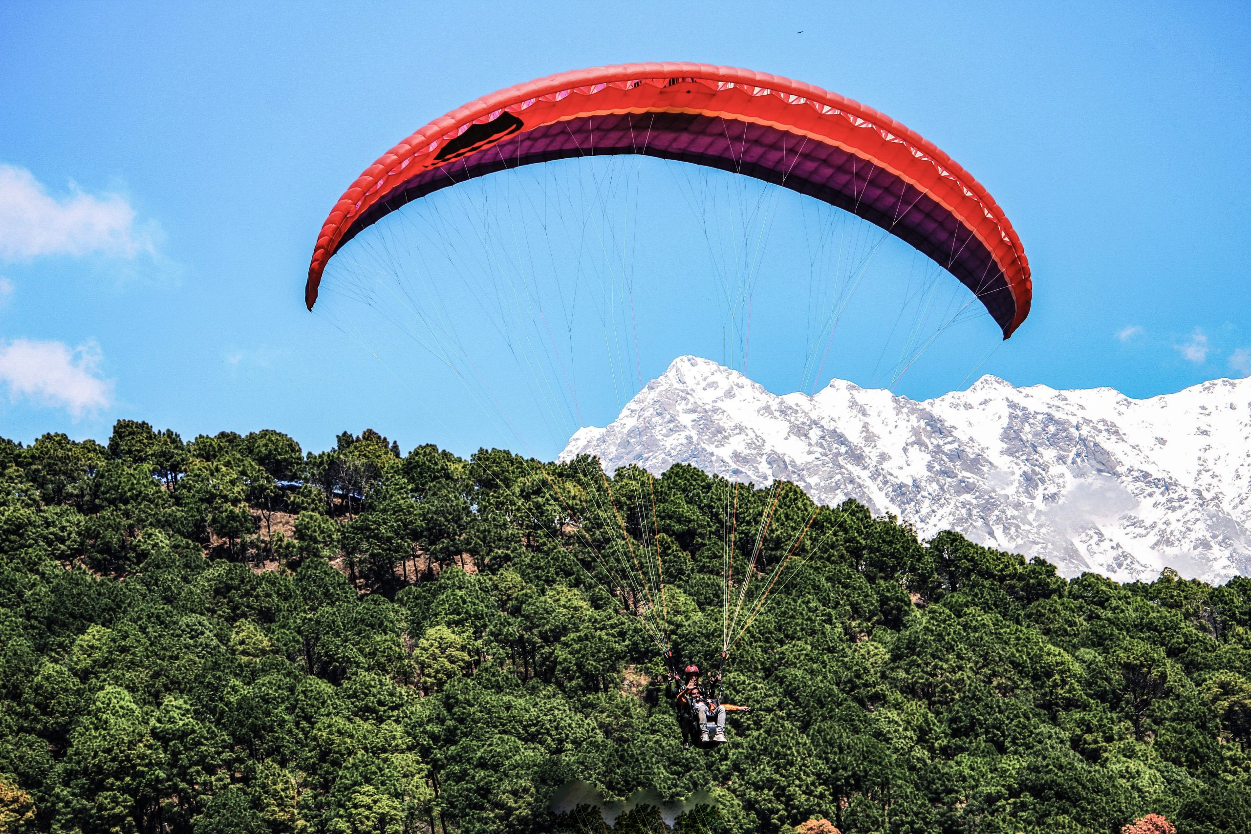 Paragliding in the Dhauladhar mountains