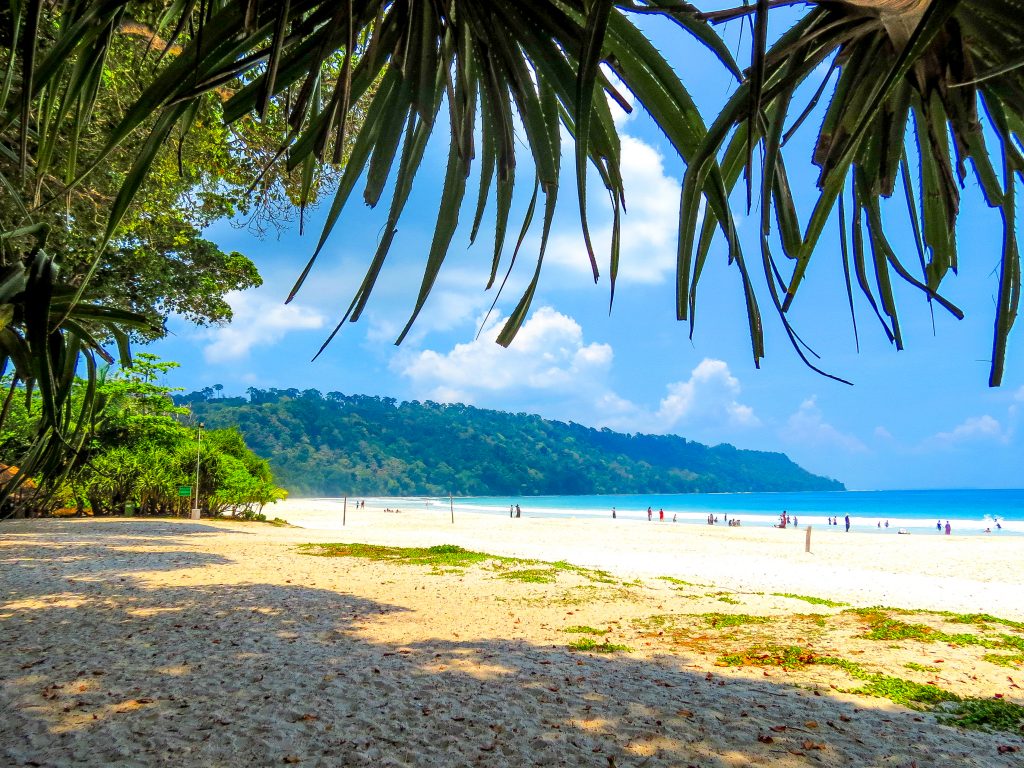 Radhanagar Beach, Havelock Island - Pixahive