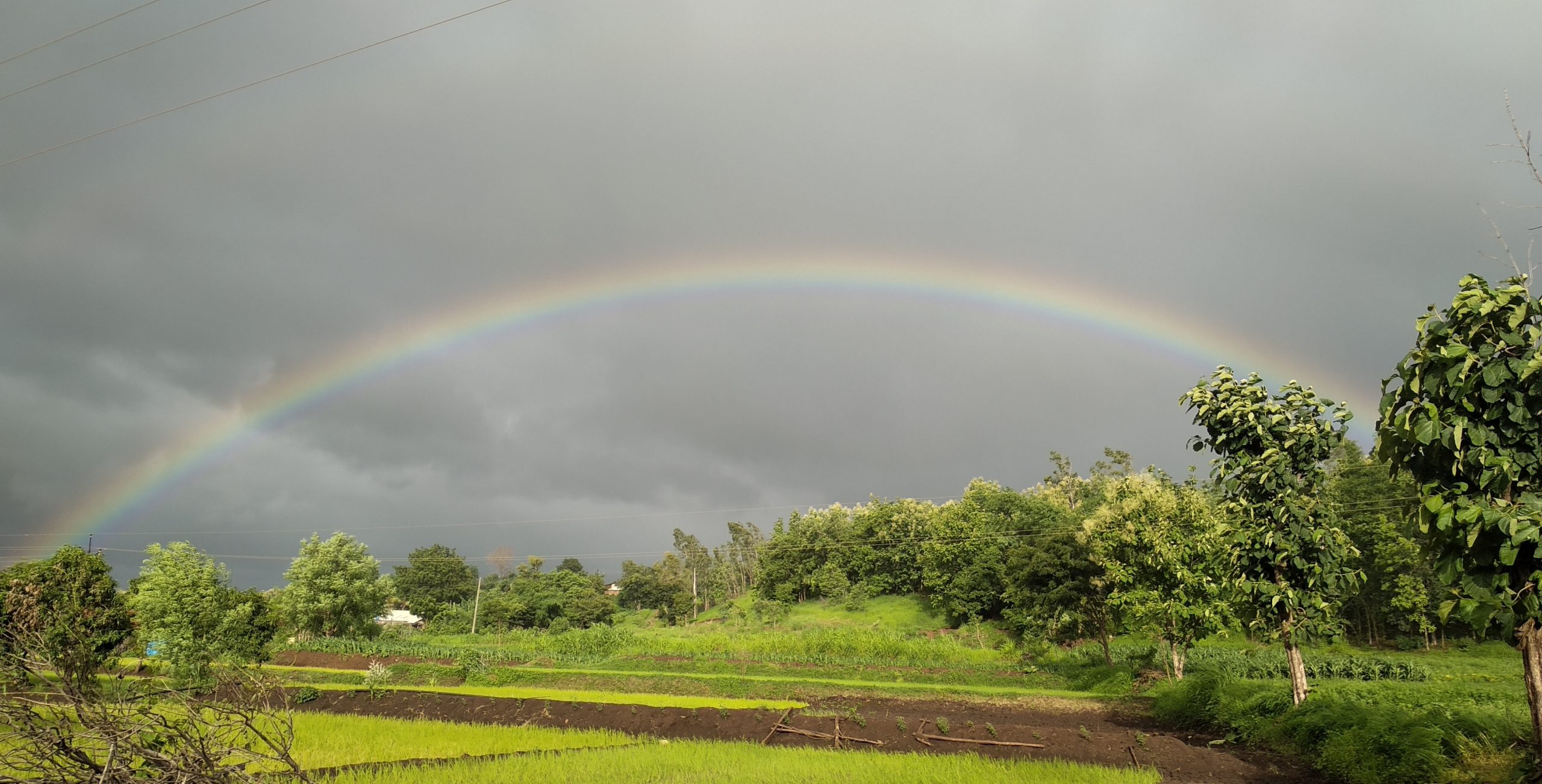 Rainbow formed over agriculture land