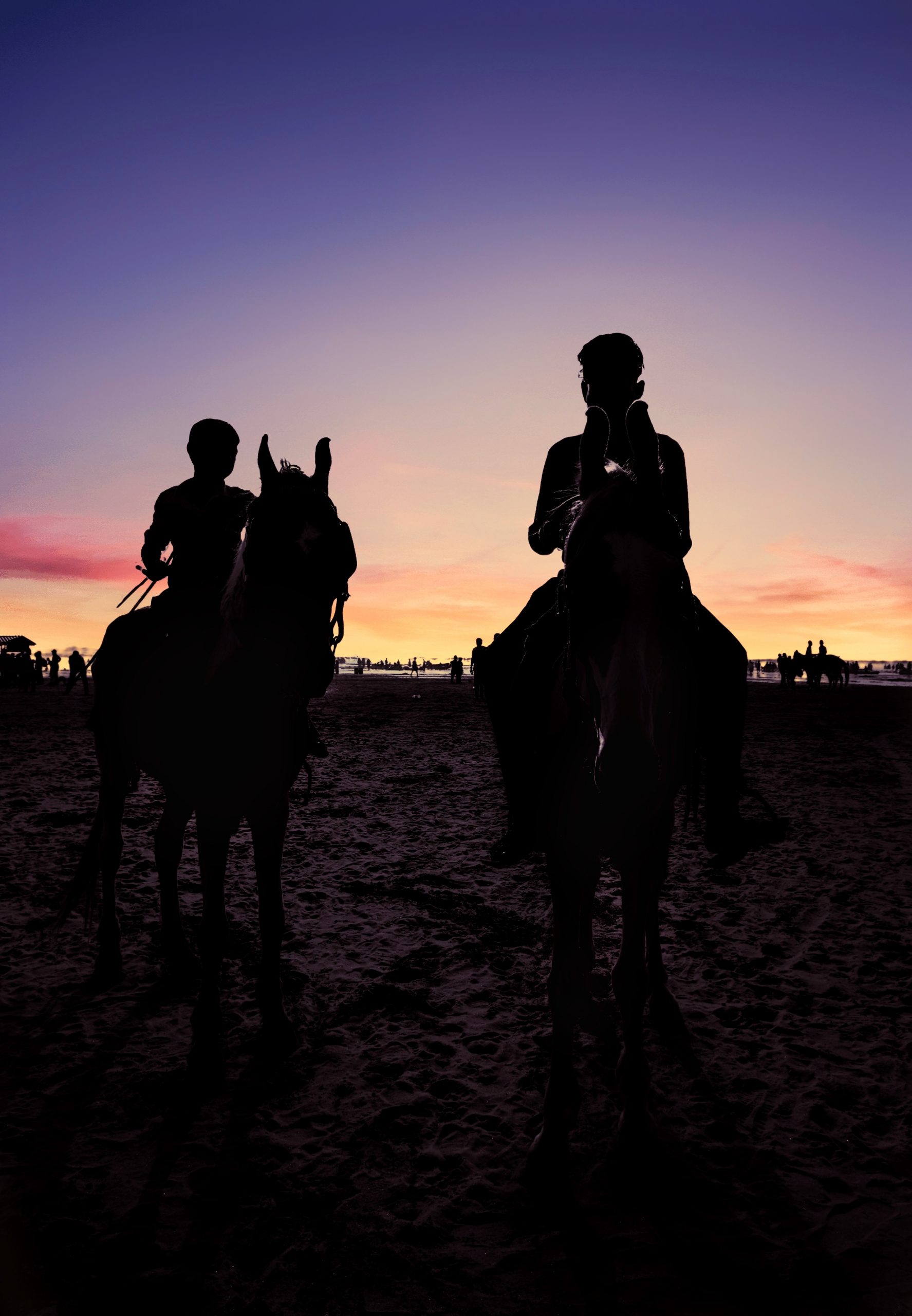 Silhouette of horse riders