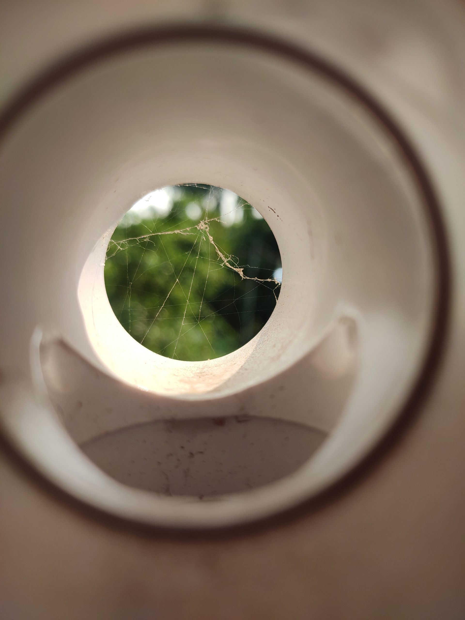 Spider web in a pipe