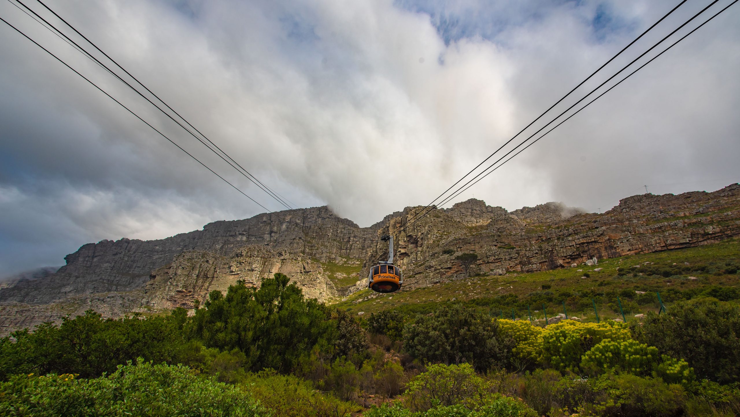 Table Mountain Travel Guide - Why Is Table Mountain A Tourist Attraction?