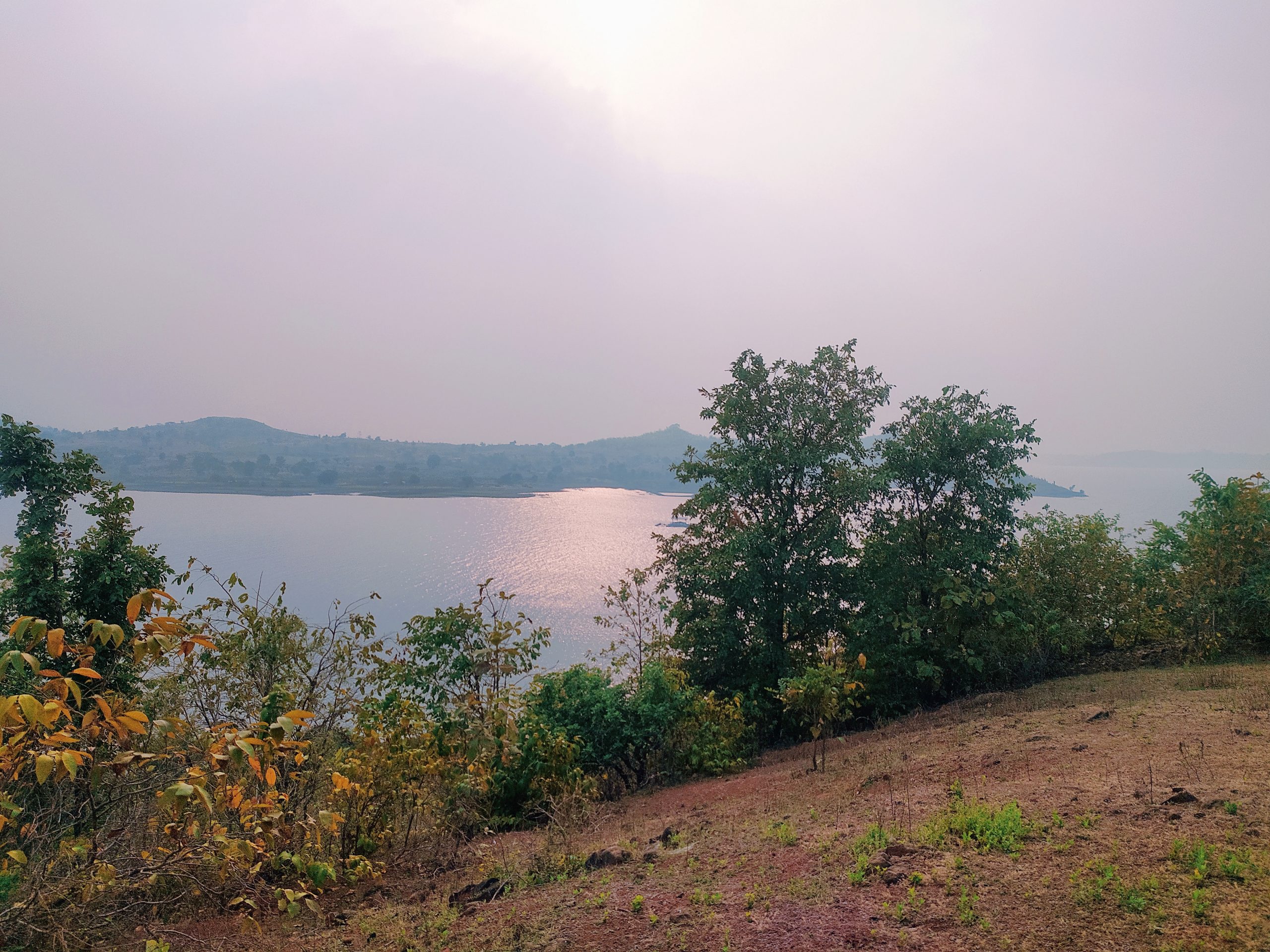 Trees and a lake