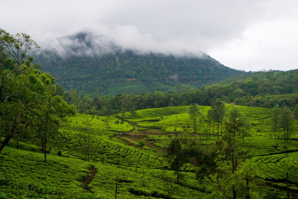 Vagamon Hills - Pixahive