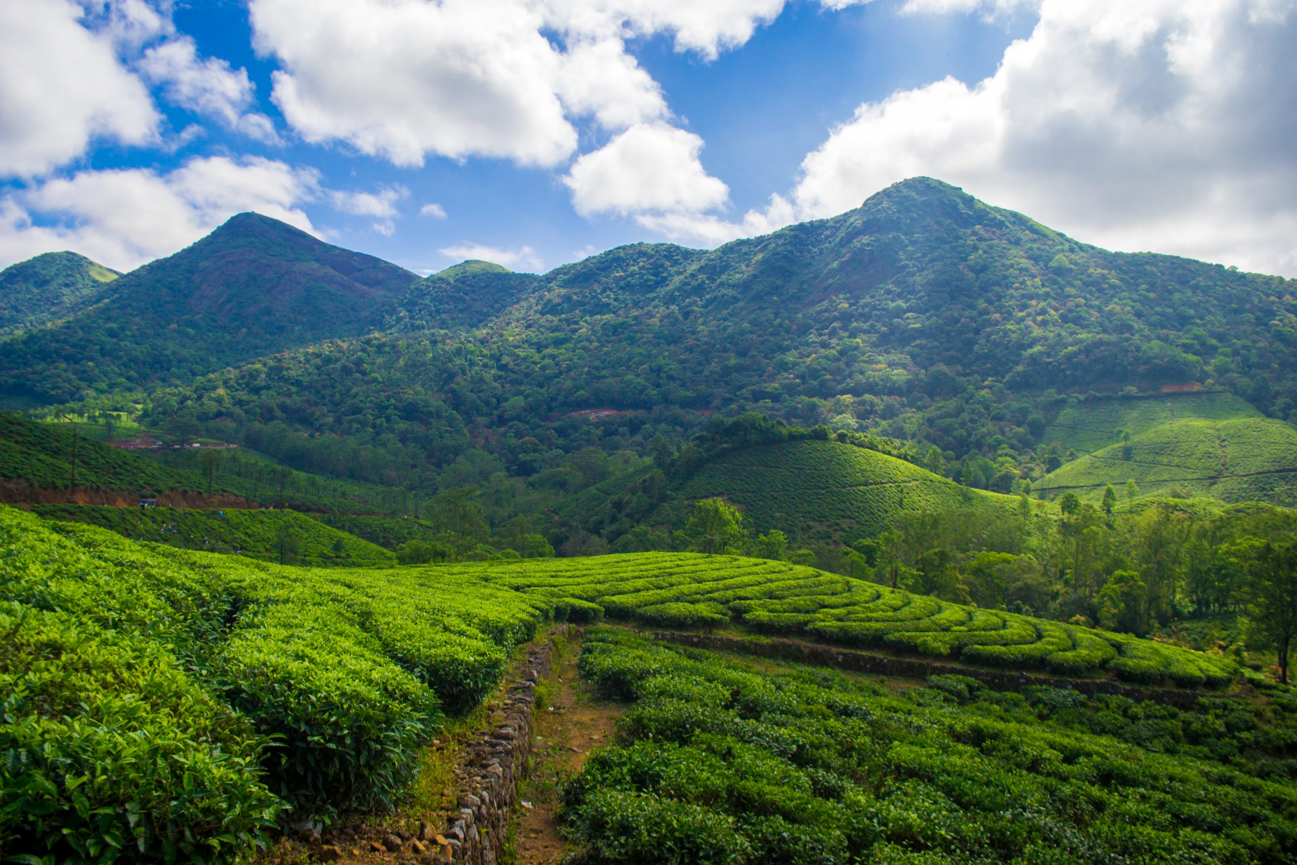 11 Perfect Places to Visit in Vagamon for a Relaxing and Memorable ...