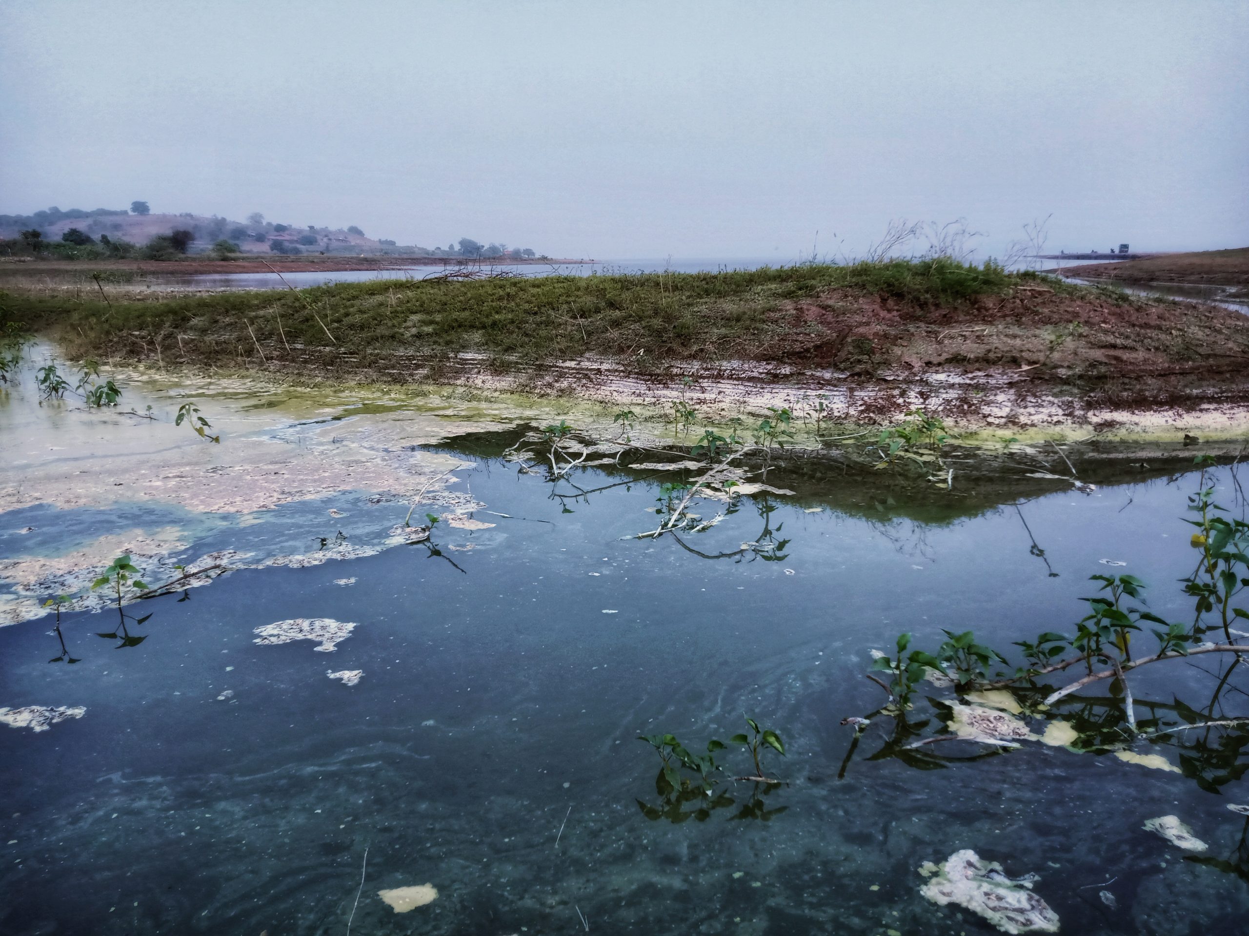 Landscape of a polluted lake