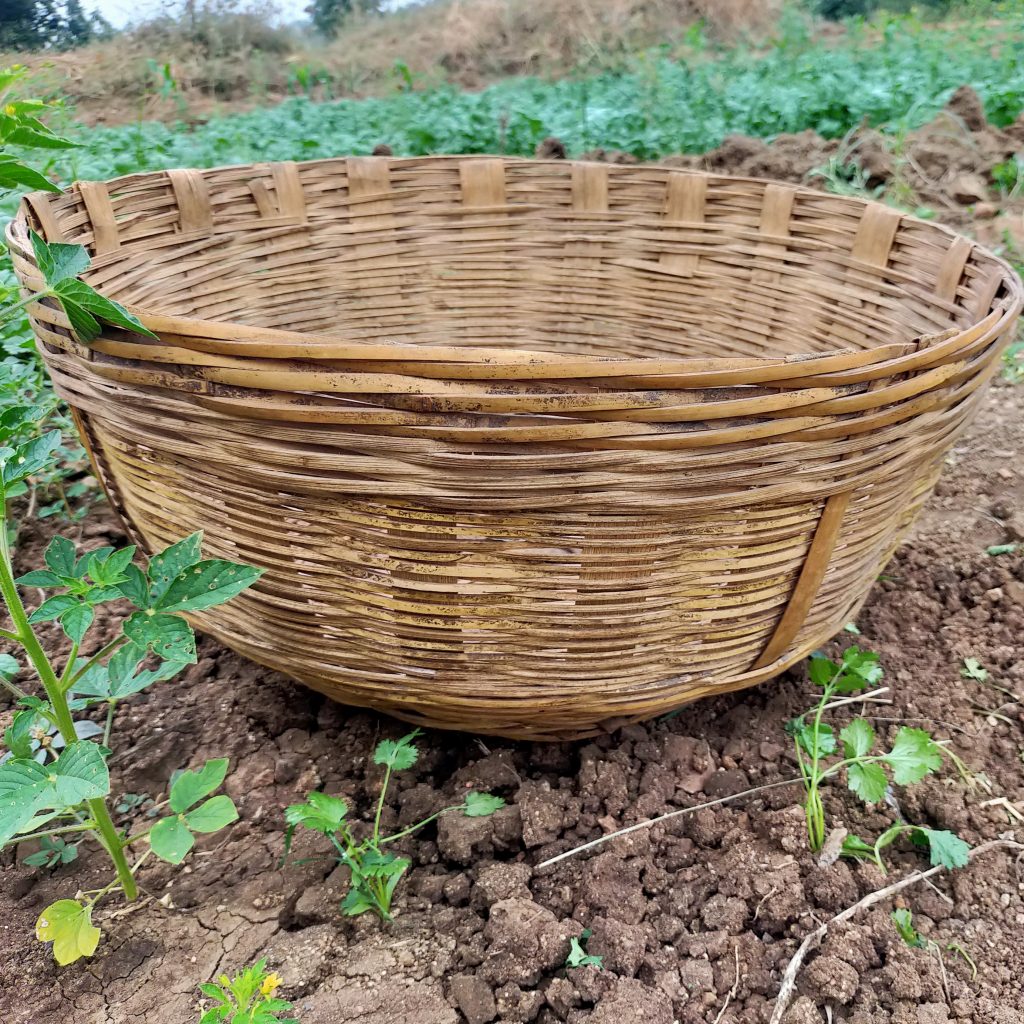 Wooden basket in agriculture field PixaHive