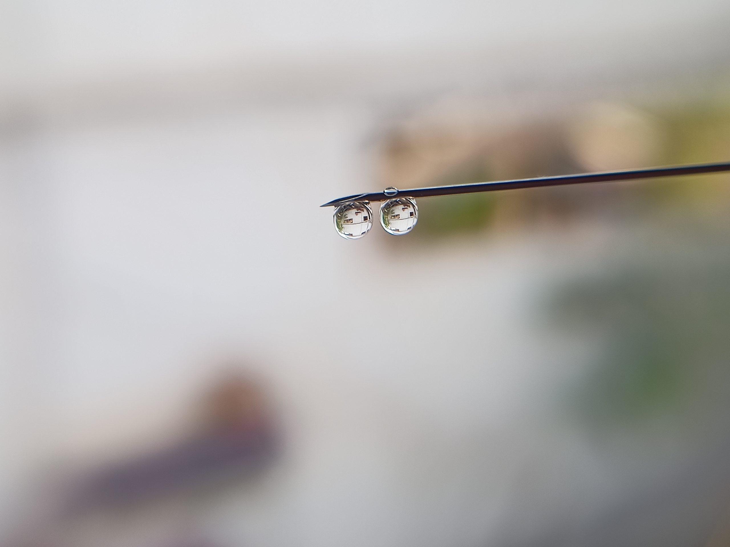 water drops on pin
