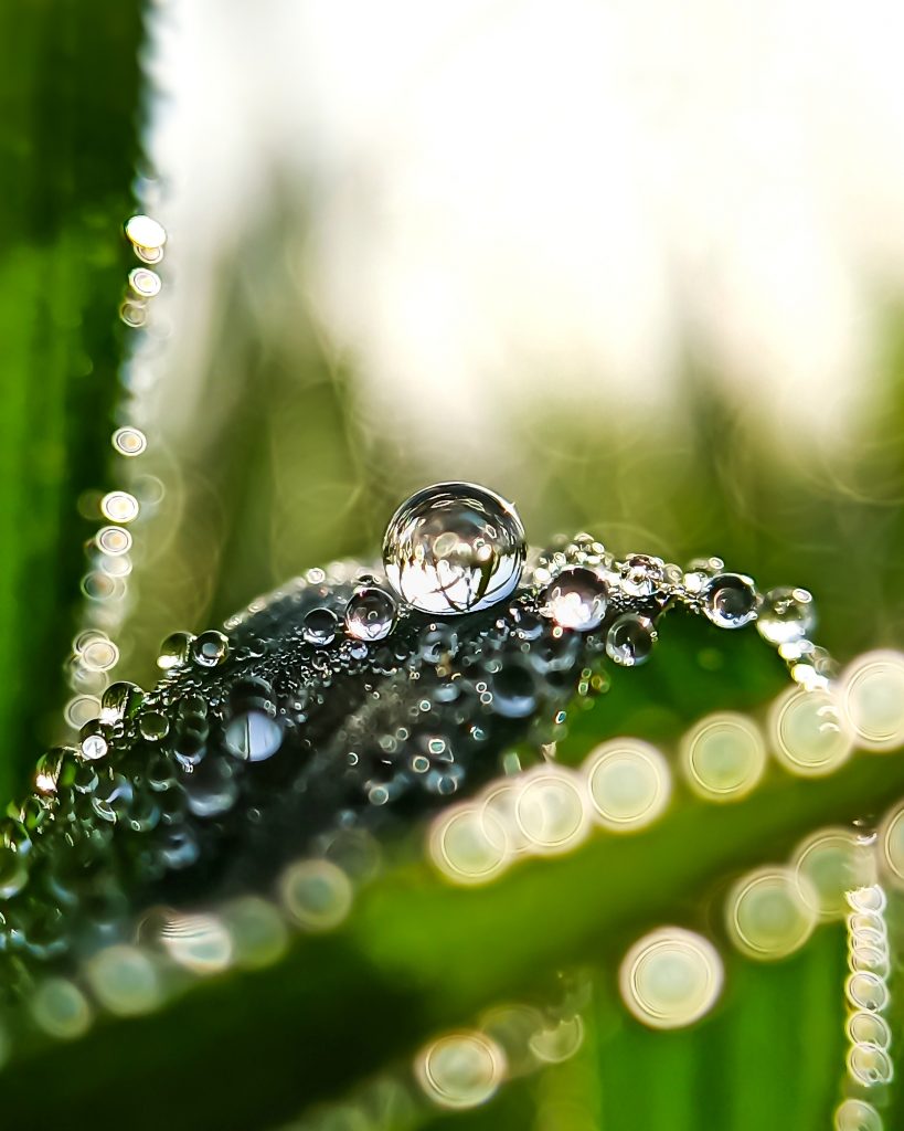 water droplet - PixaHive