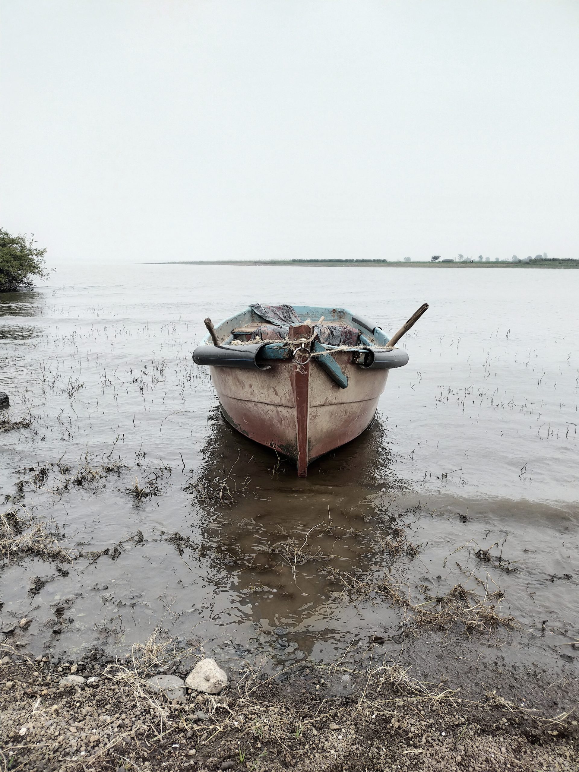 A boat at a shore