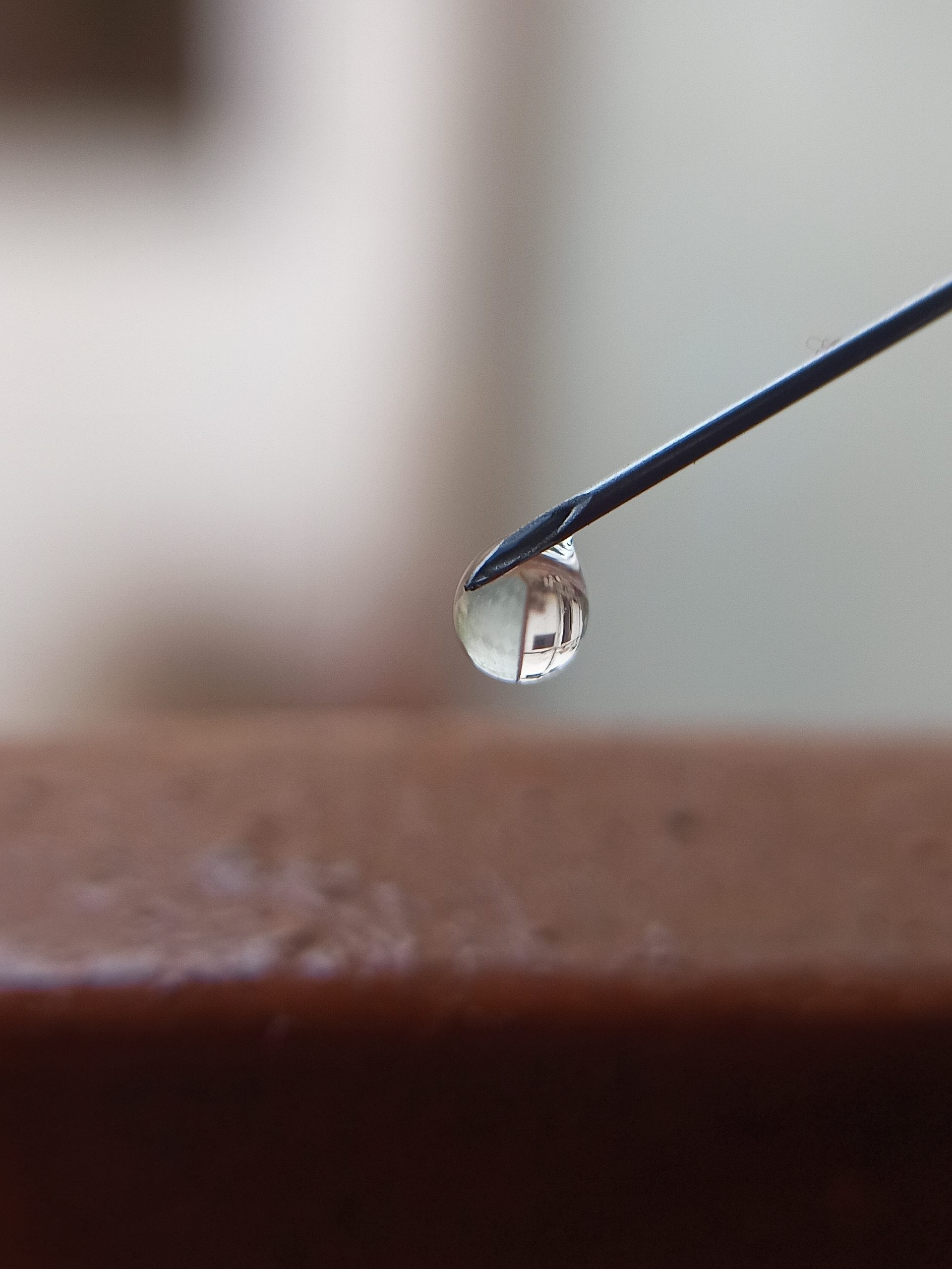 A drop on a needle tip