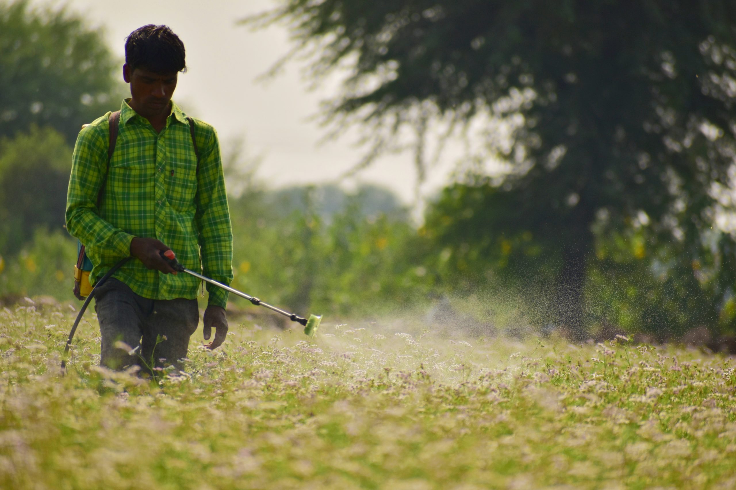 A farmer spraying pesticides in a field