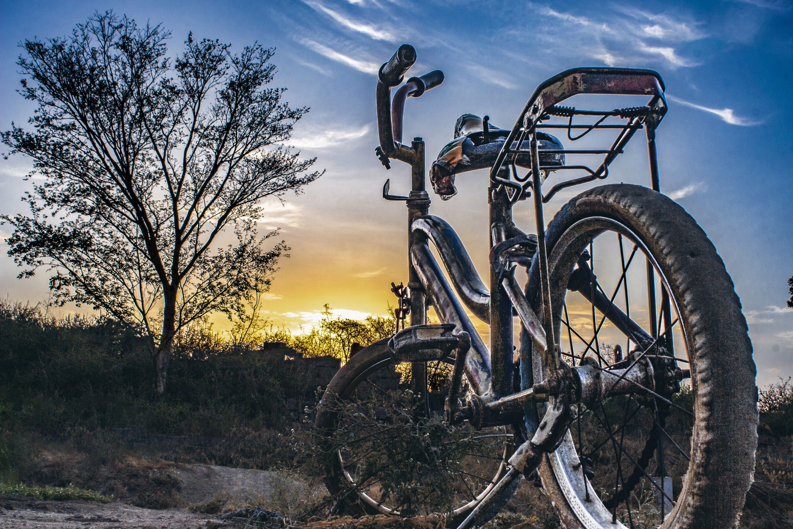 Bicycle in farm during sunset