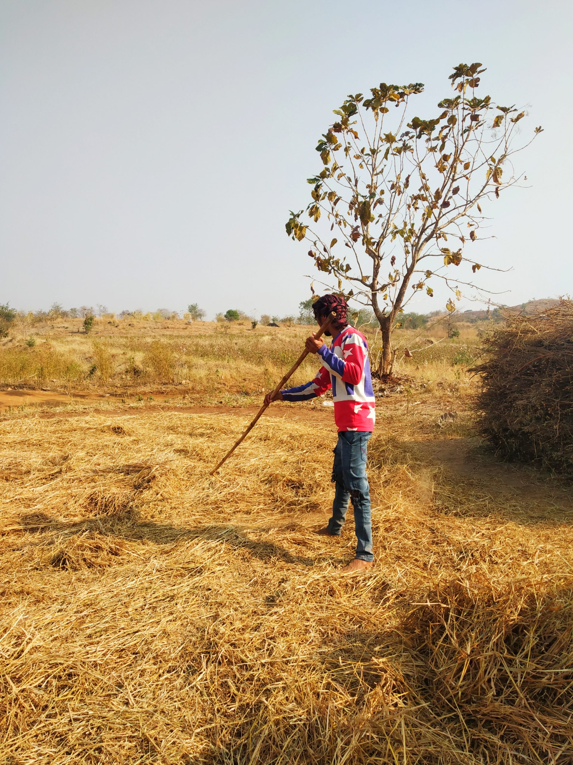 Boy working in the farm