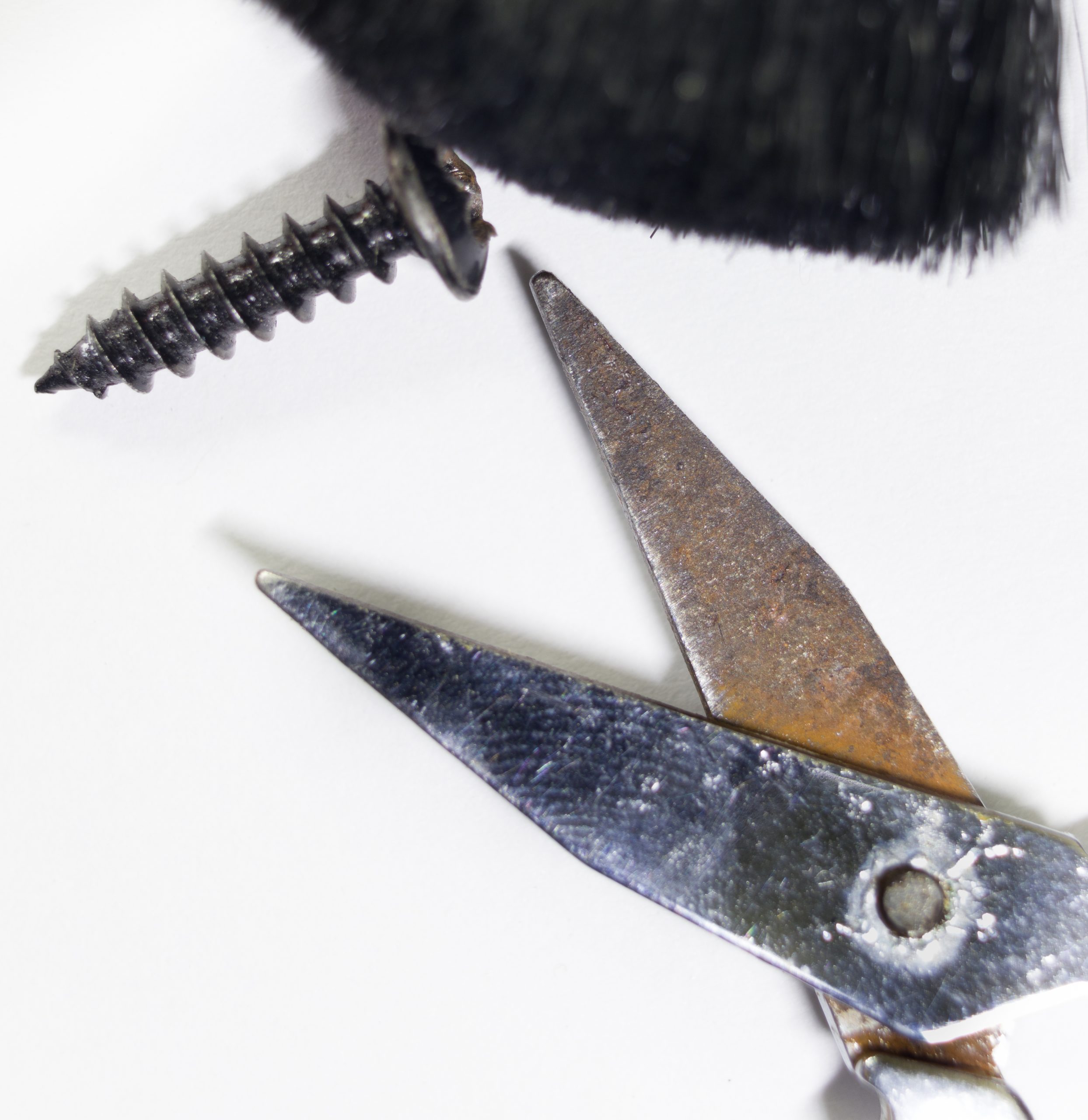 Portrait of a screw and a scissor