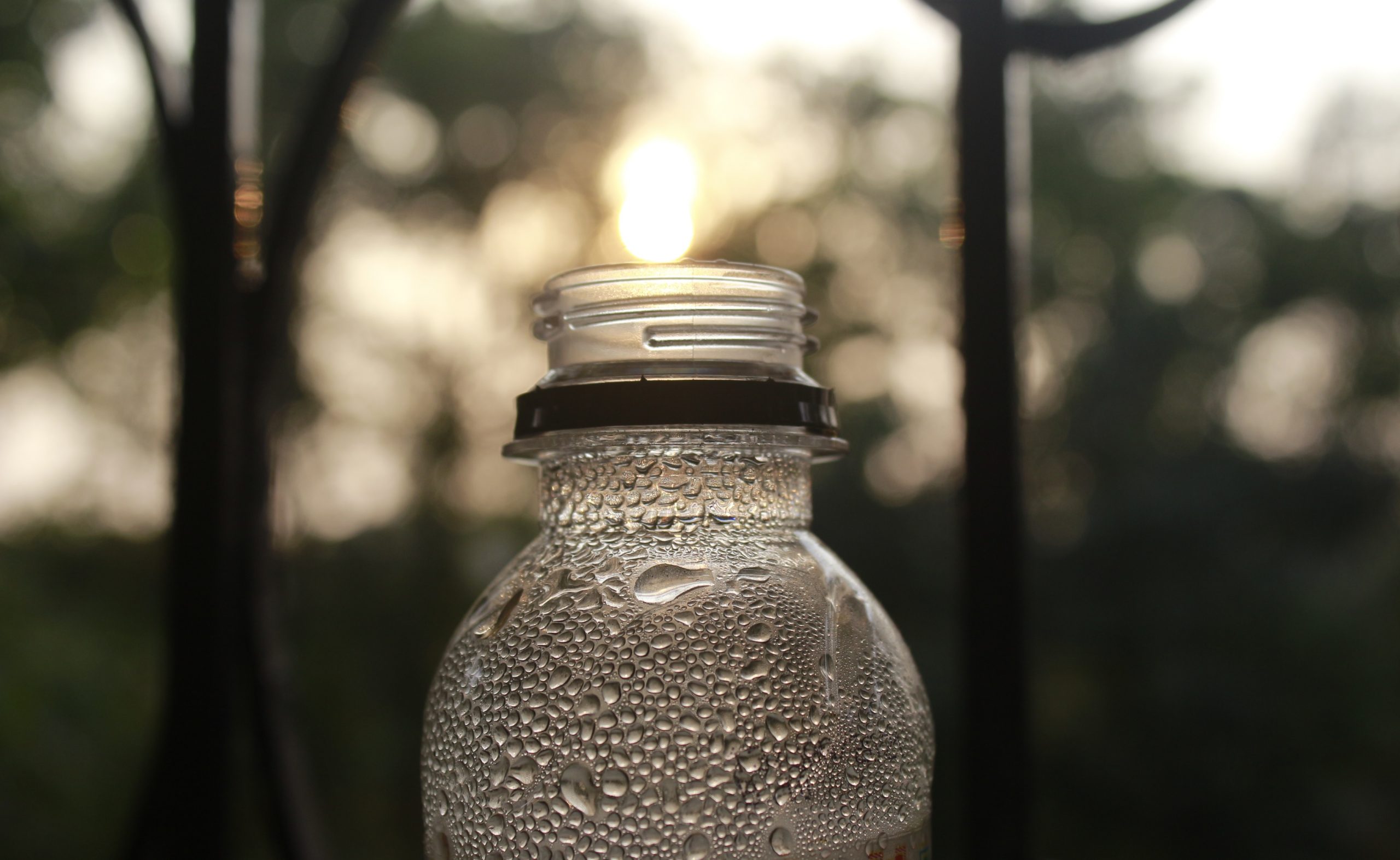 Empty Plastic bottle without cap