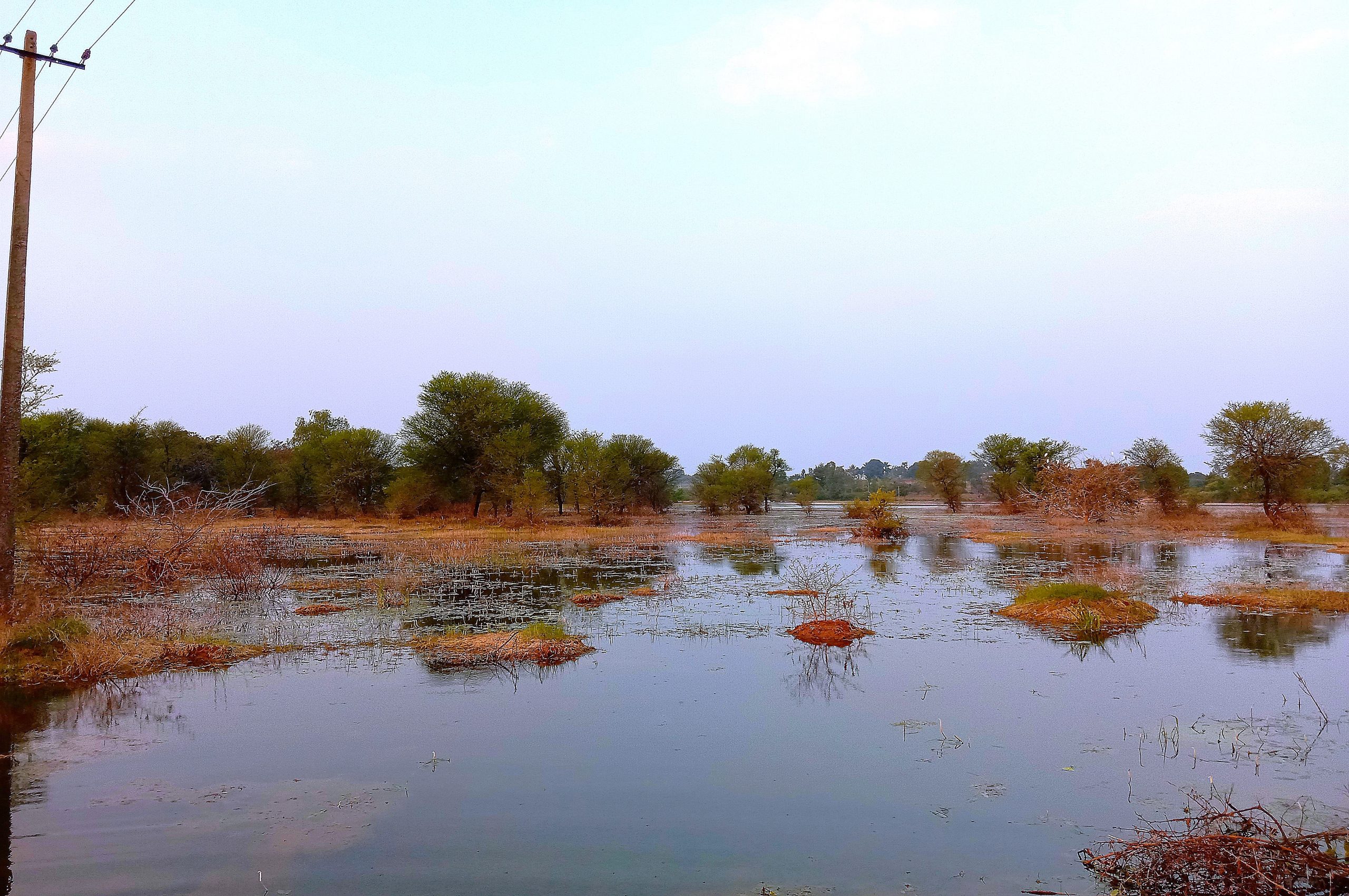 Farm filled with water