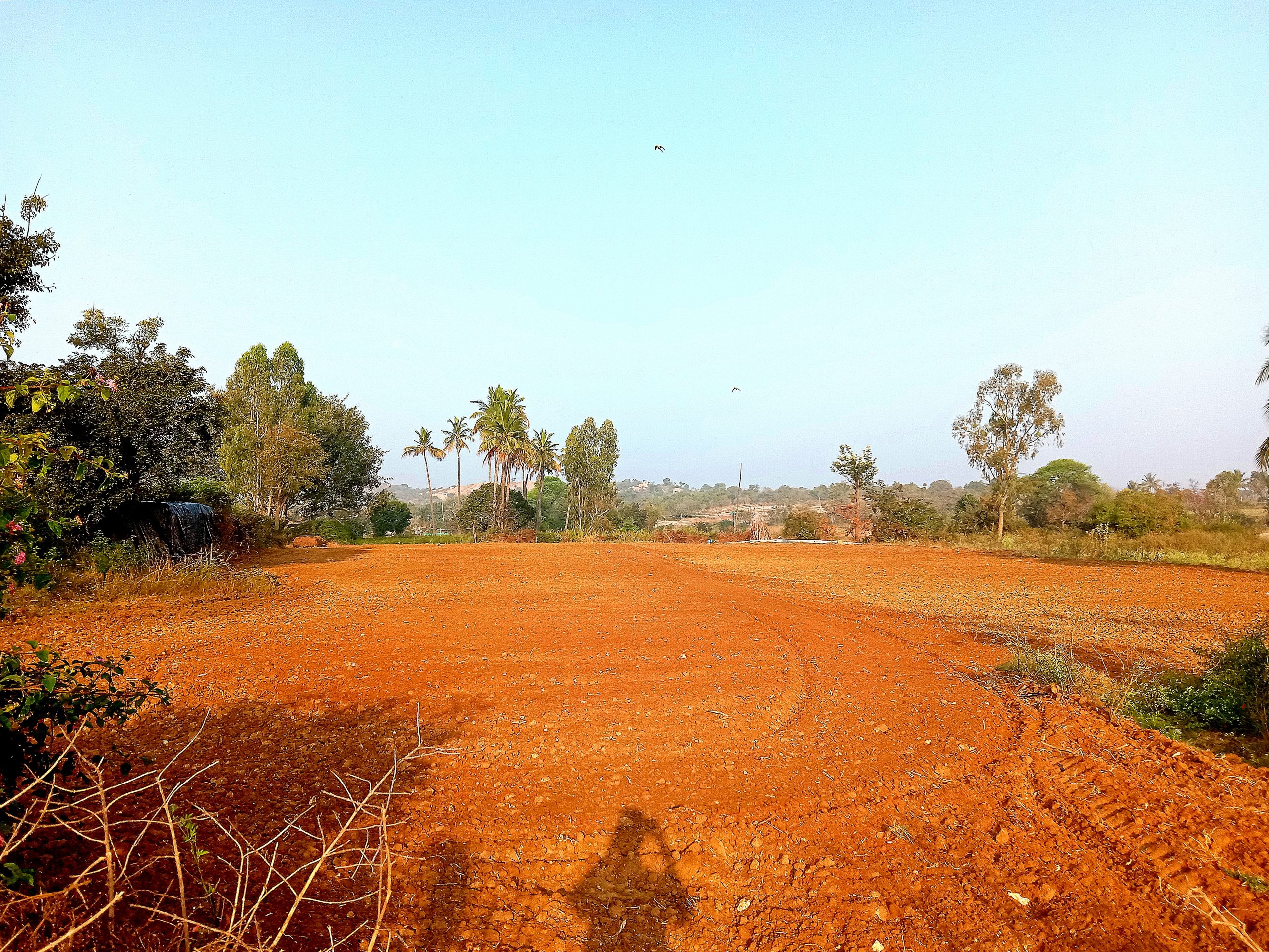 Farm landscape