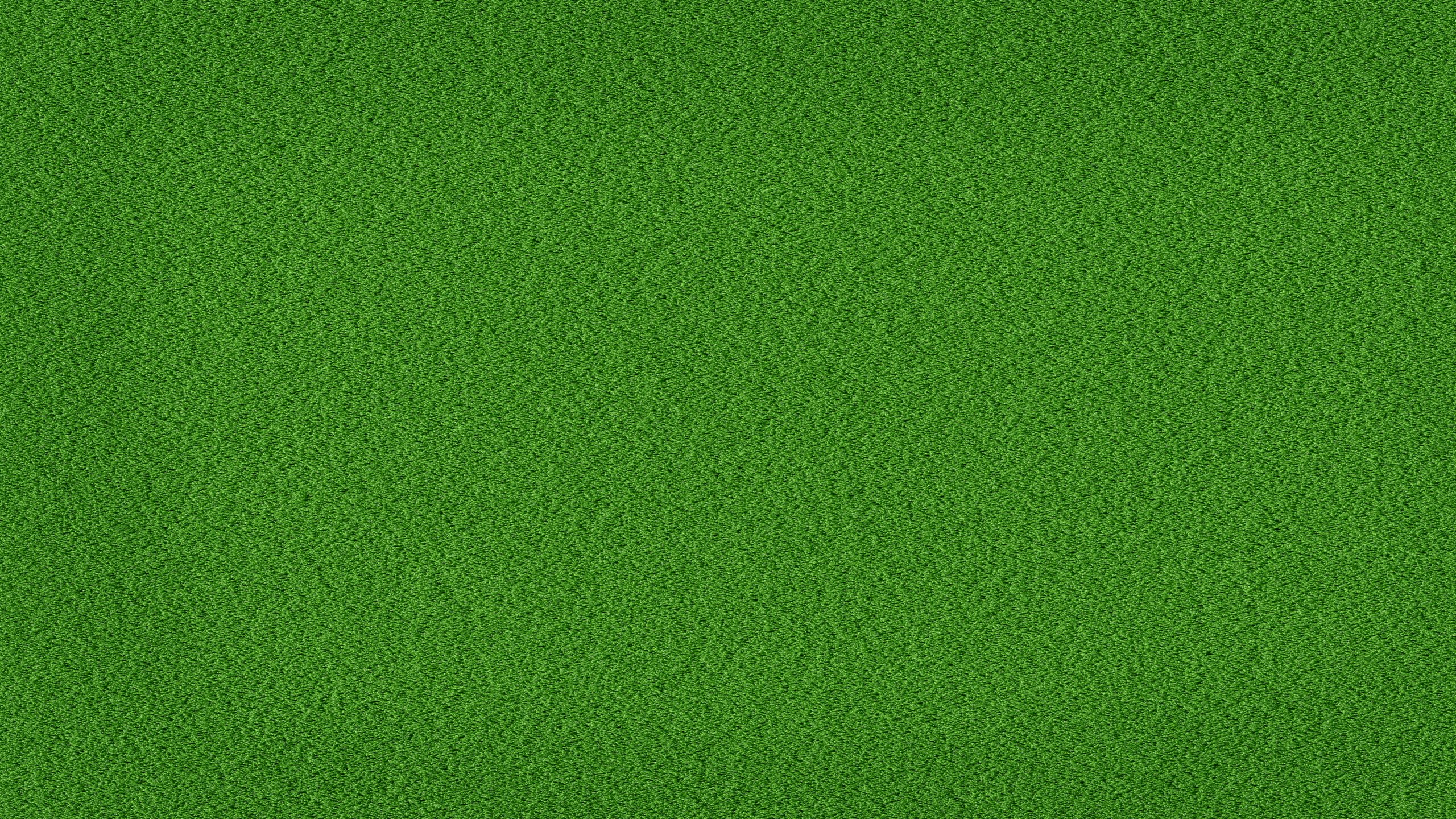 Green grass background wallpaper - Free Image by Inderpreet kaur on  