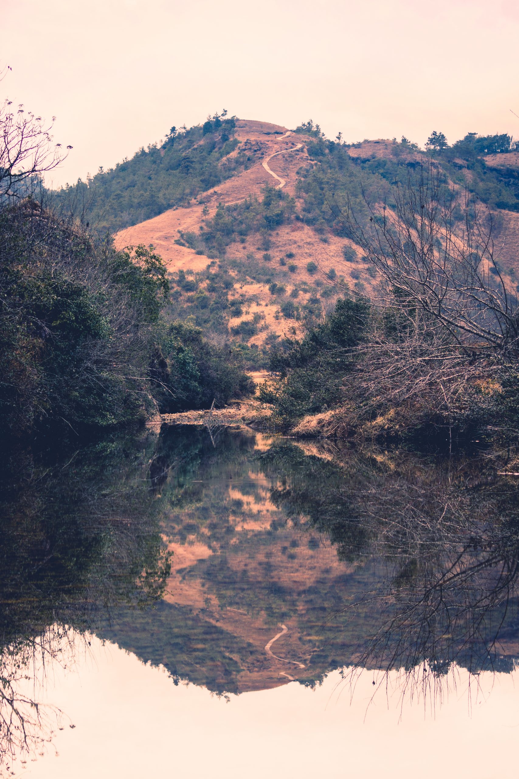 Hills Reflection in river