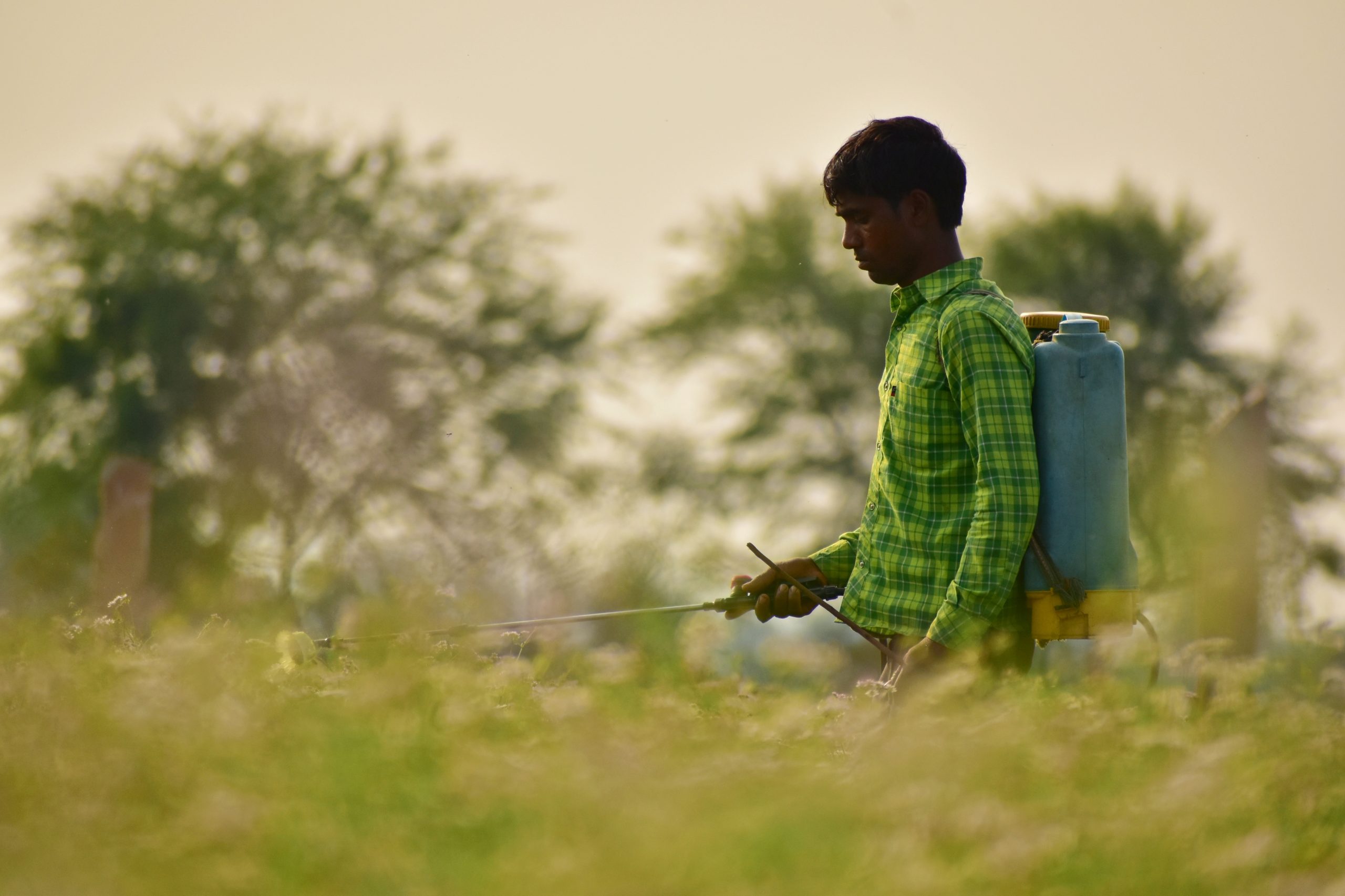Man spraying pesticide in a field