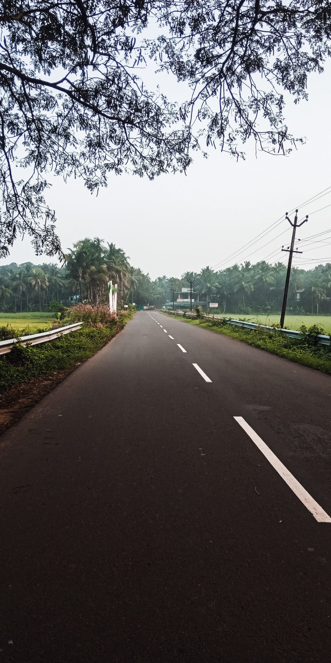 Road and the nature.