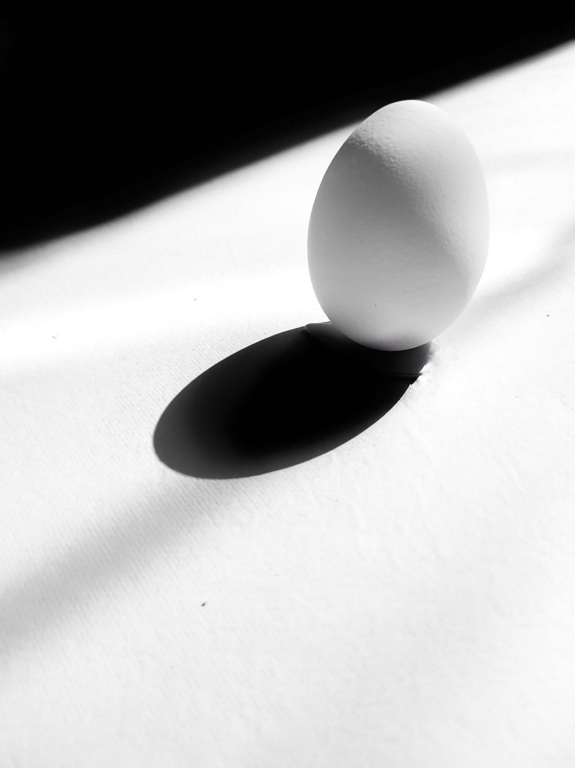 Shadow of egg and egg
