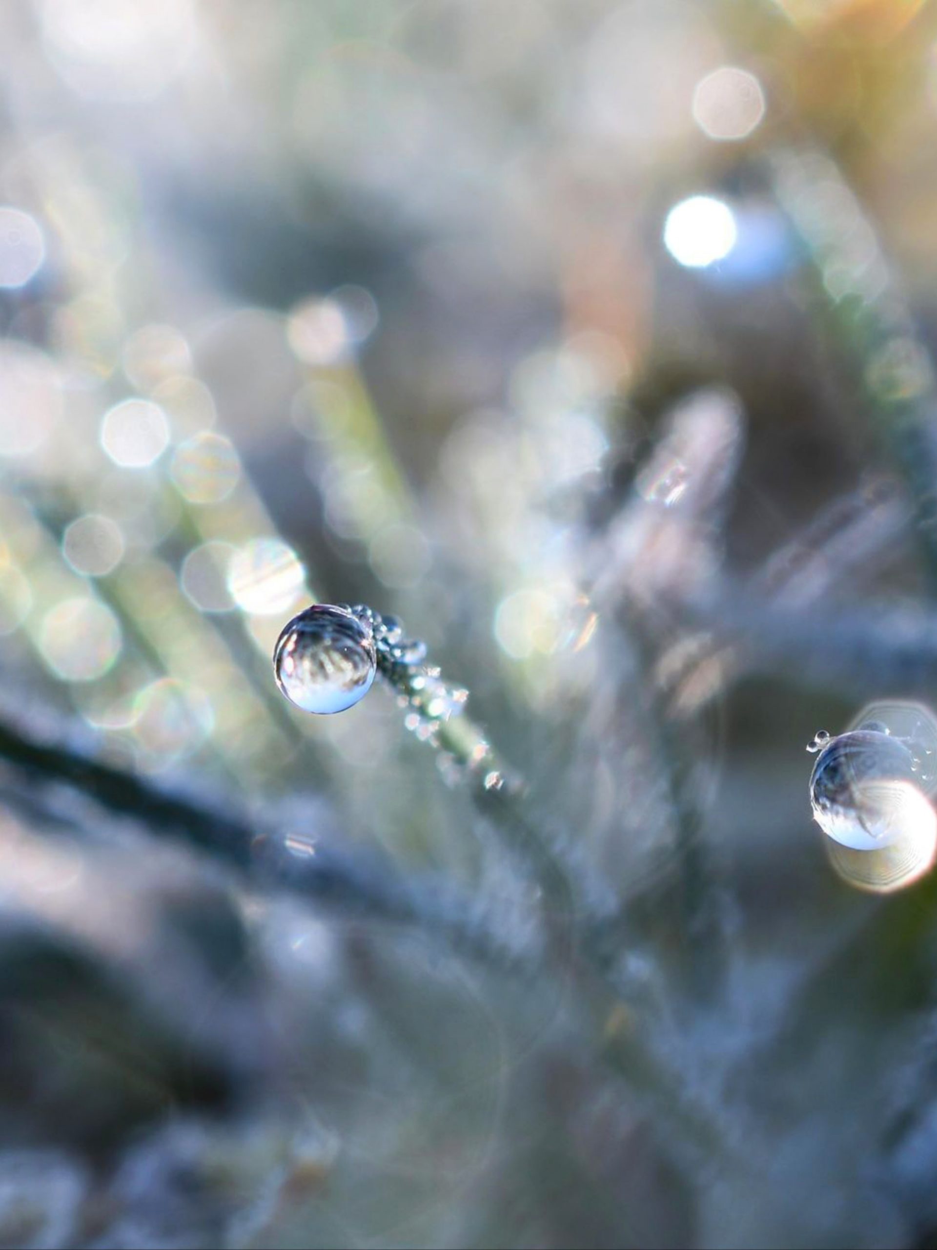 Waterdrops