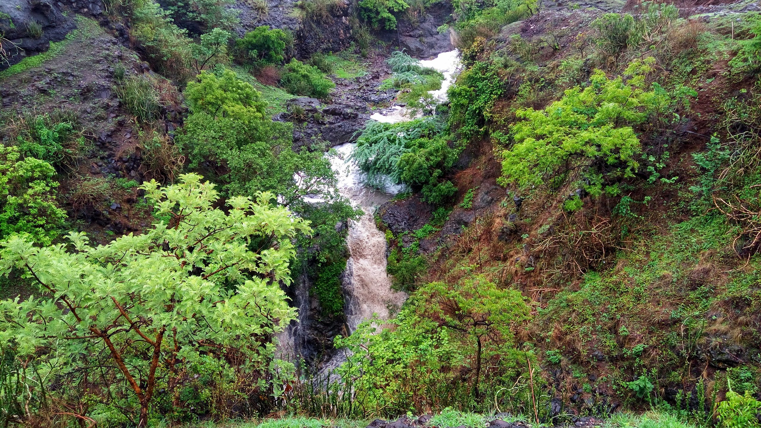 Waterfall in the forest