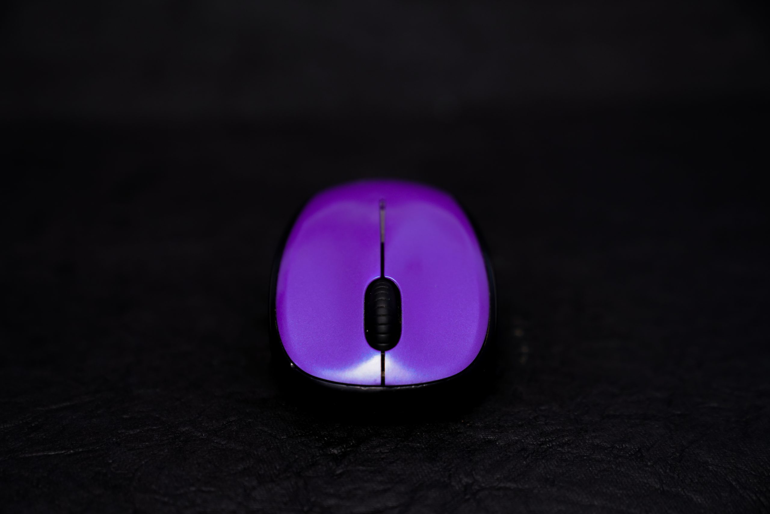 A computer mouse