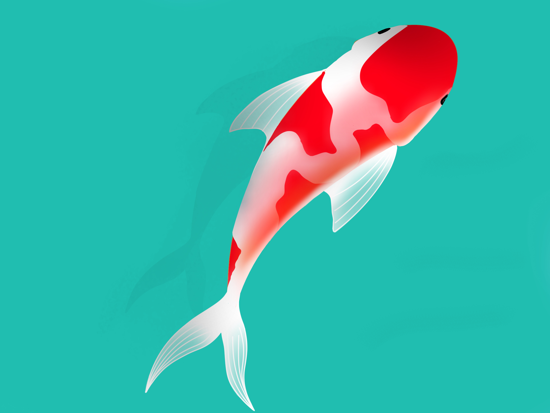 A fish illustration