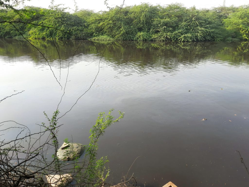 A dirty water lake PixaHive