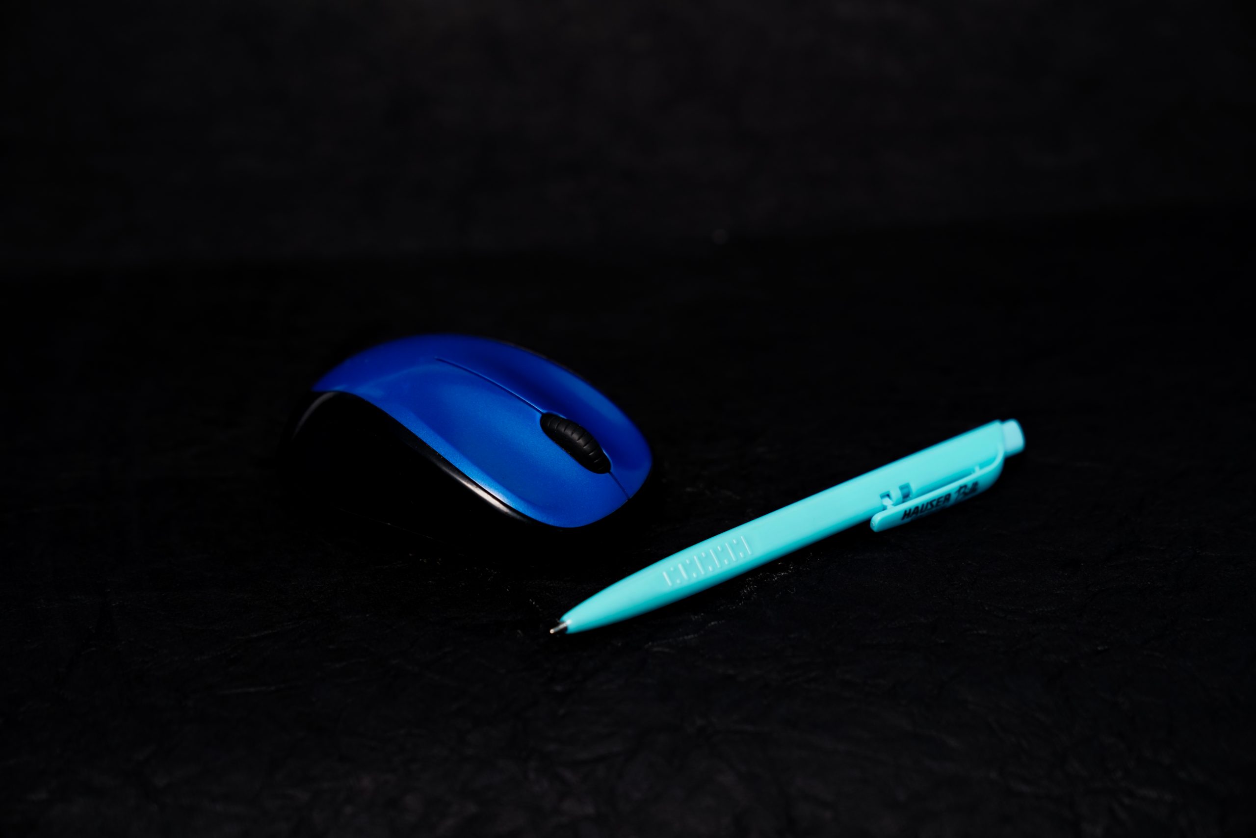 A pen and computer mouse
