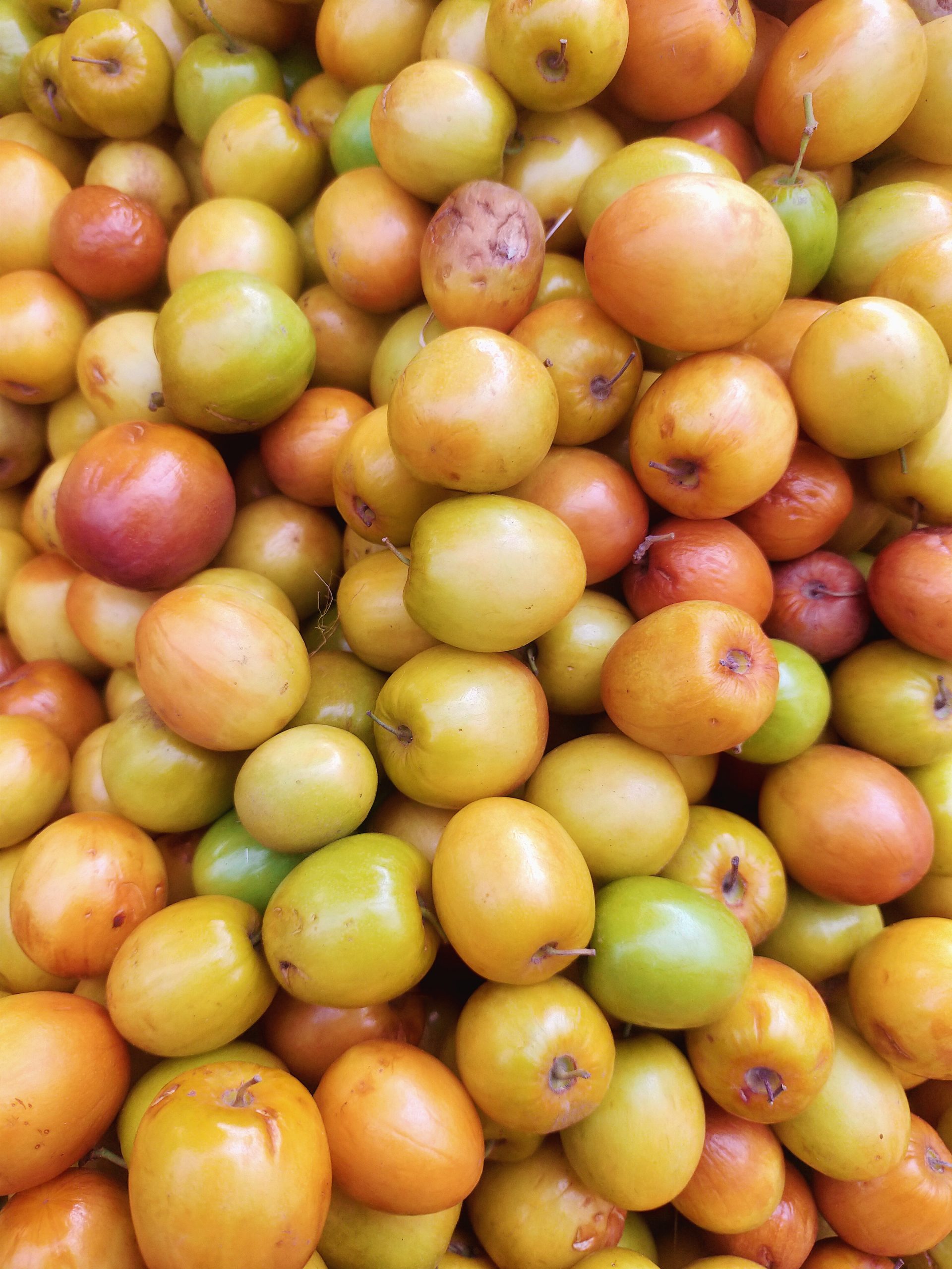 A pile of jujube berries