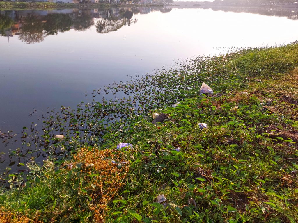 Beautiful lake polluted by garbage dumps PixaHive