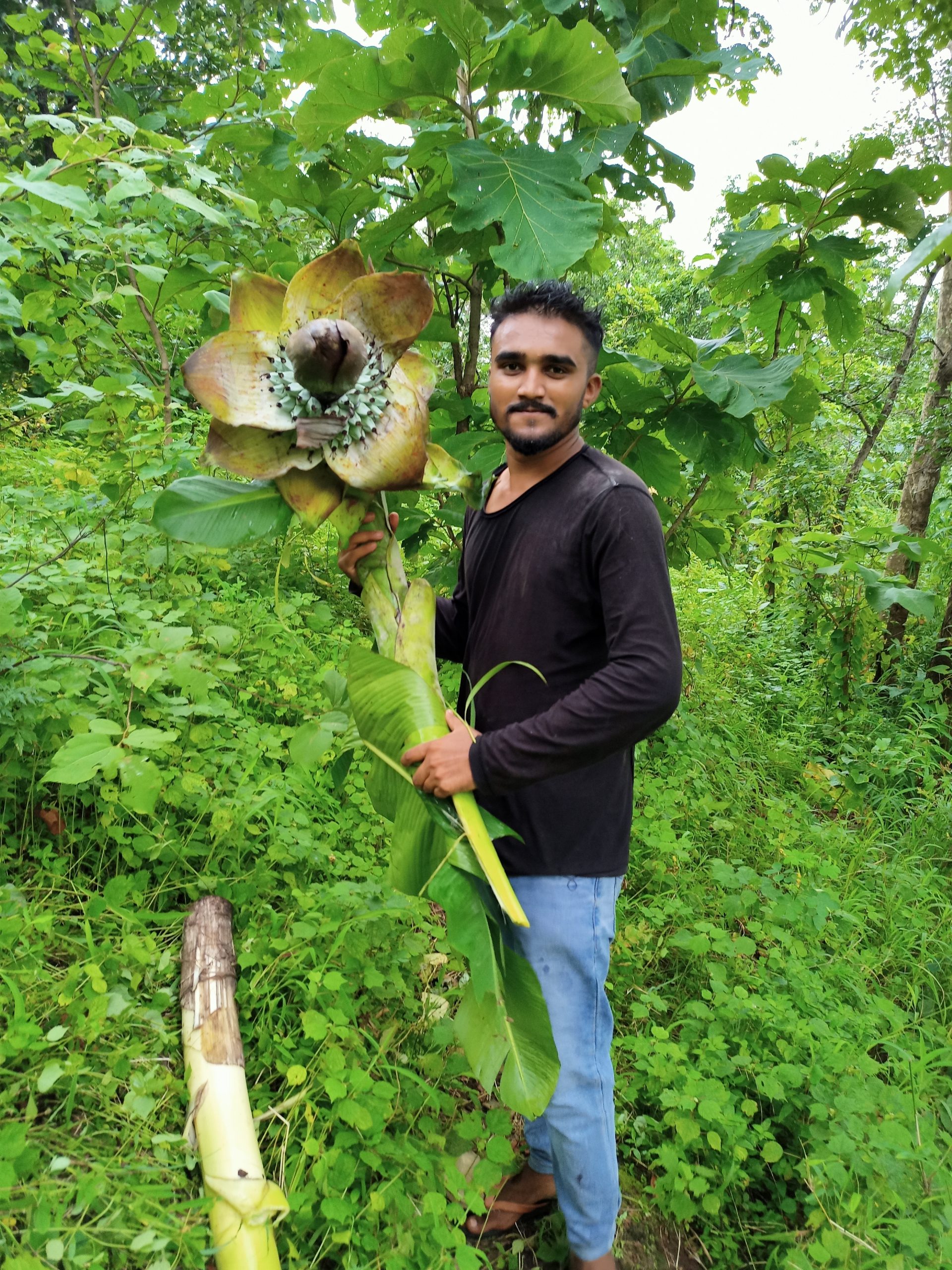 Boy posing with a big flower in forest