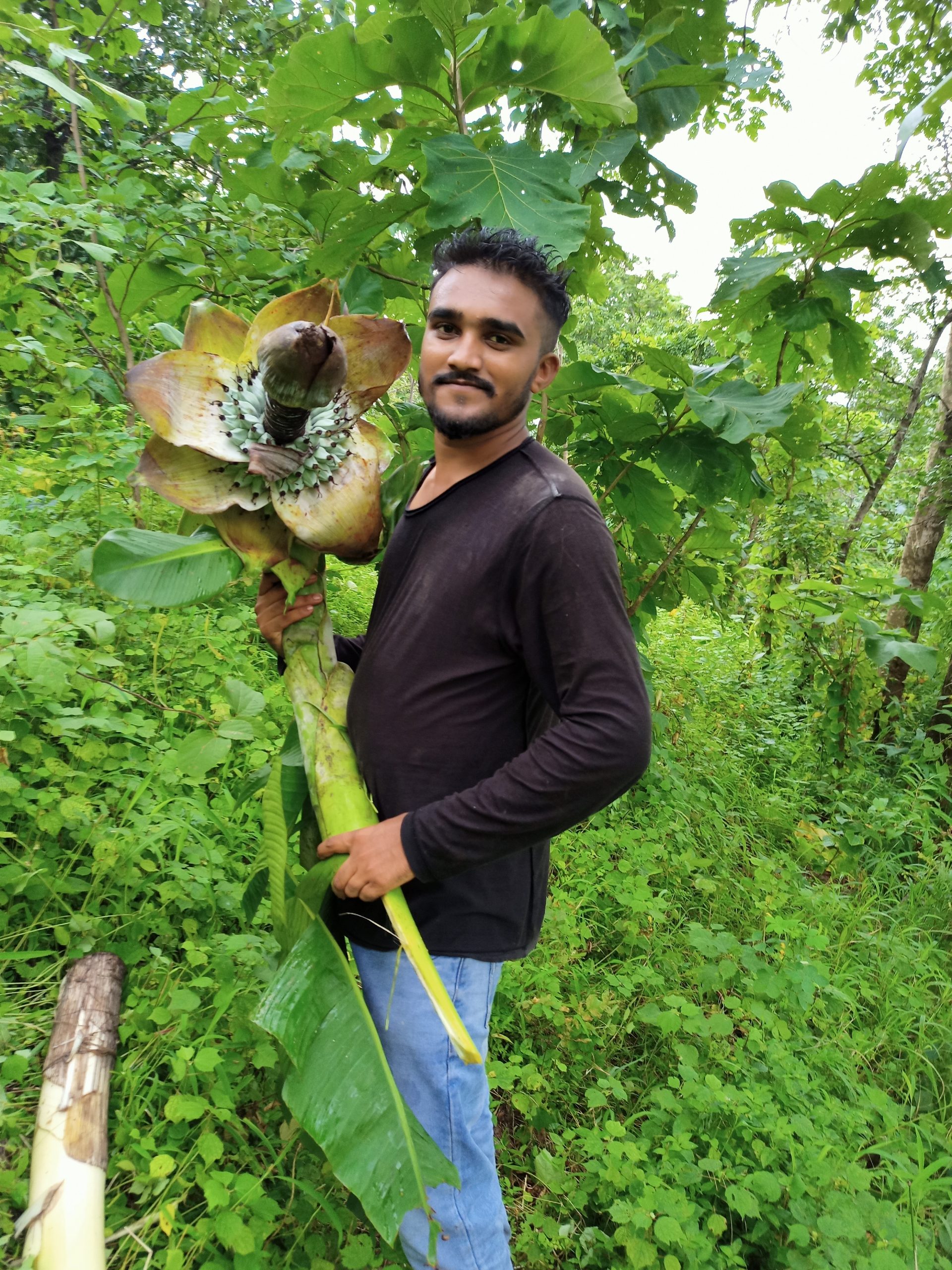 Boy posing with a big flower in forest