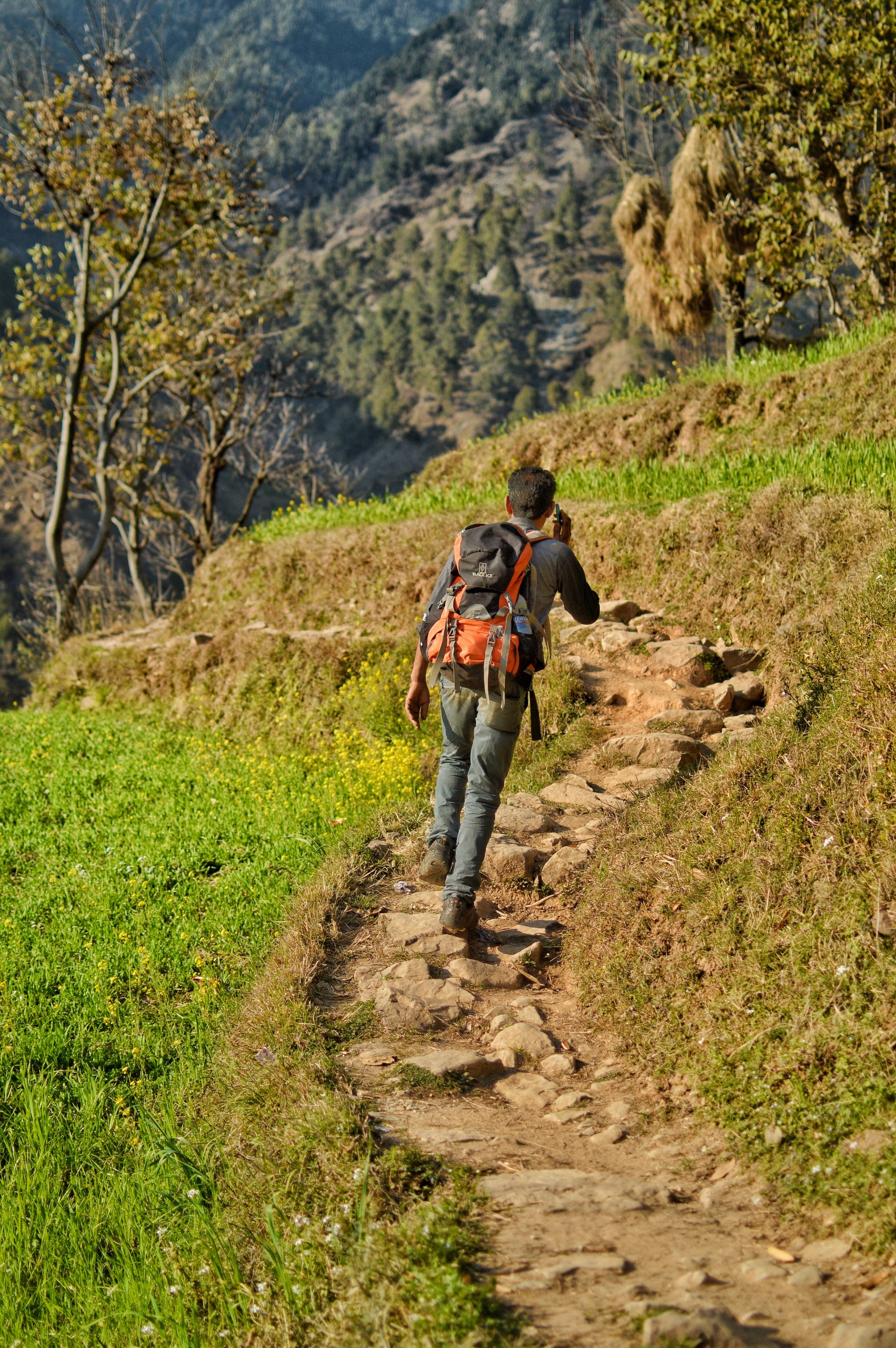 Boy trekking in the hills