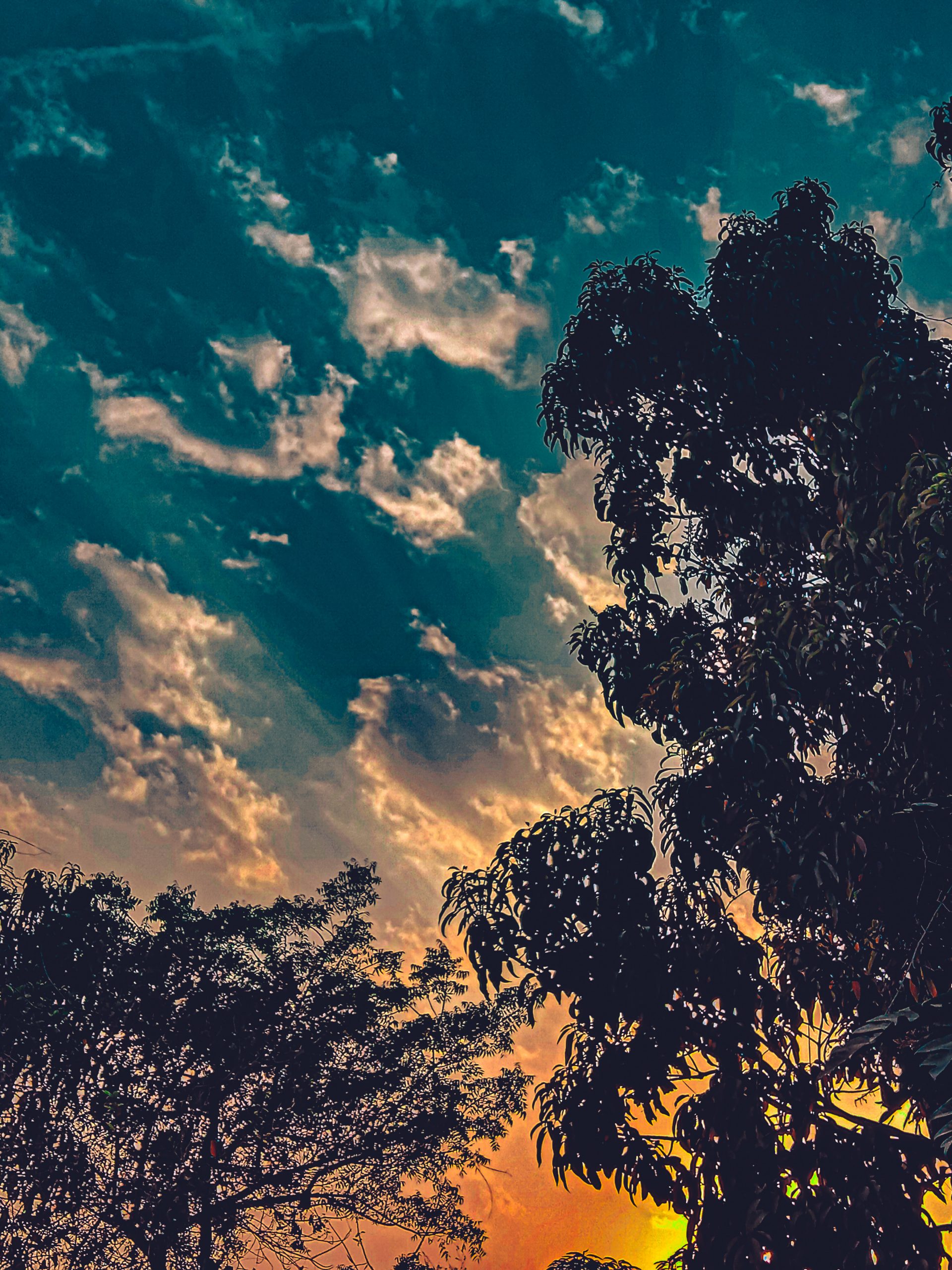 Clouds during sunset