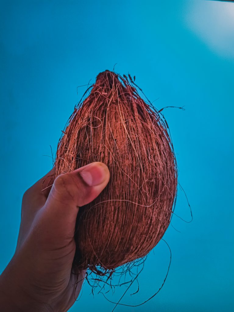 Coconut in hand PixaHive