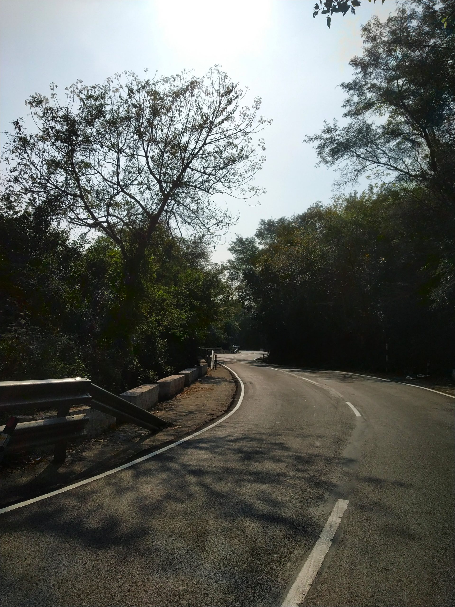 Road landscape